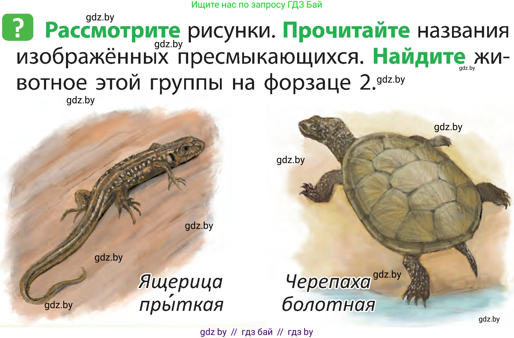 Человек и мир, 2 класс Учебник, авторы: Трафимова Галина Владимировна, Трафимов Сергей Анатольевич, издательство Академия образования, Минск, 2024, страница 90, номер 2, Условие