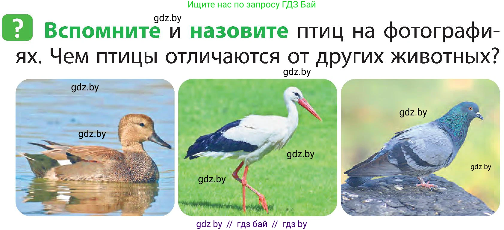 Человек и мир, 2 класс Учебник, авторы: Трафимова Галина Владимировна, Трафимов Сергей Анатольевич, издательство Академия образования, Минск, 2024, страница 94, номер 1, Условие