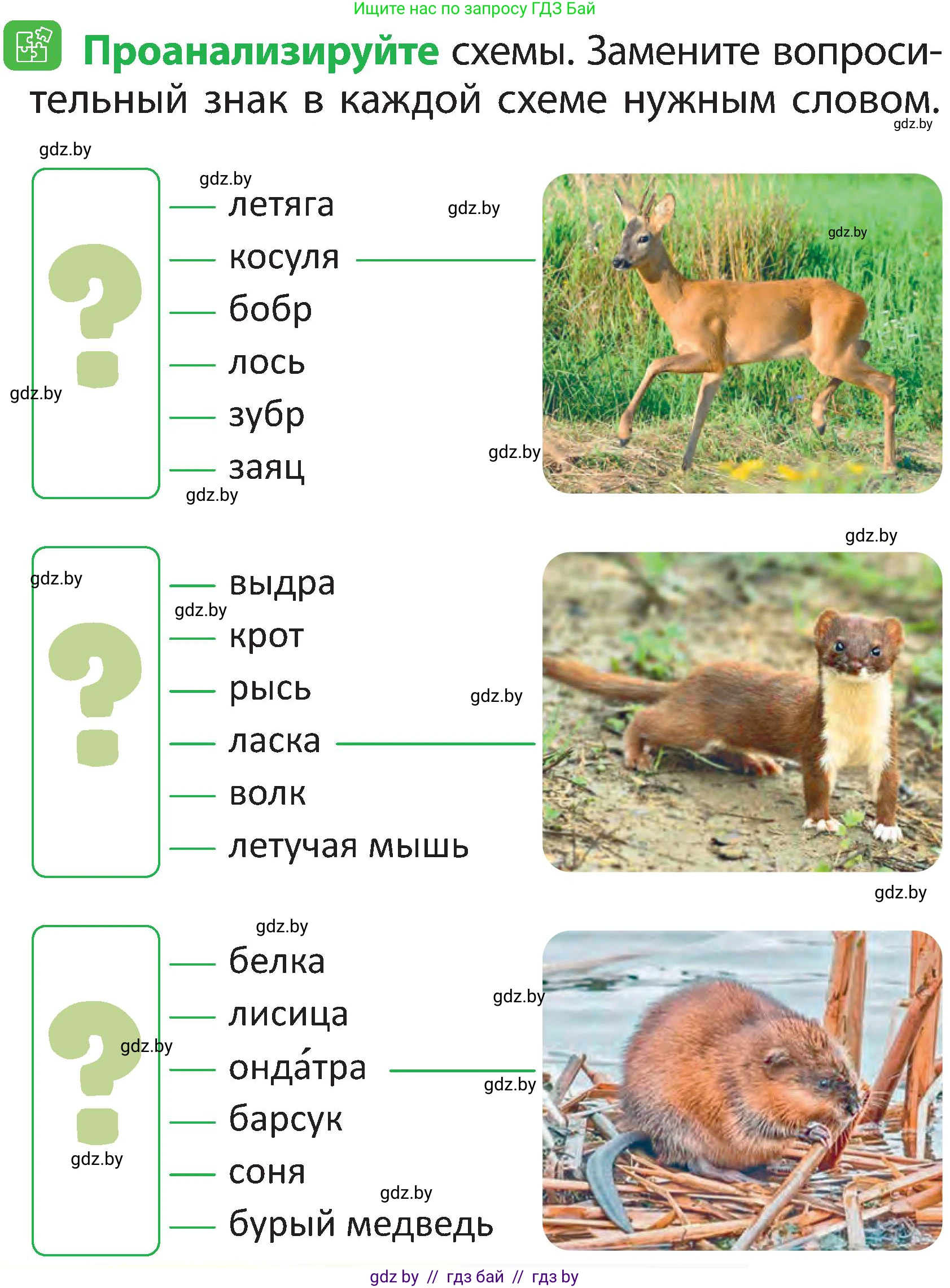 Человек и мир, 2 класс Учебник, авторы: Трафимова Галина Владимировна, Трафимов Сергей Анатольевич, издательство Академия образования, Минск, 2024, страница 100, номер 5, Условие