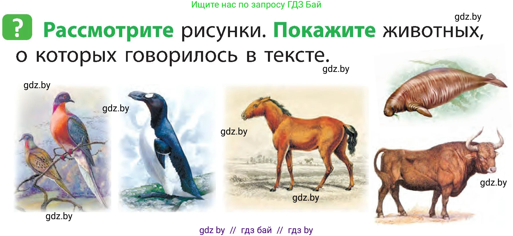 Человек и мир, 2 класс Учебник, авторы: Трафимова Галина Владимировна, Трафимов Сергей Анатольевич, издательство Академия образования, Минск, 2024, страница 107, номер 2, Условие