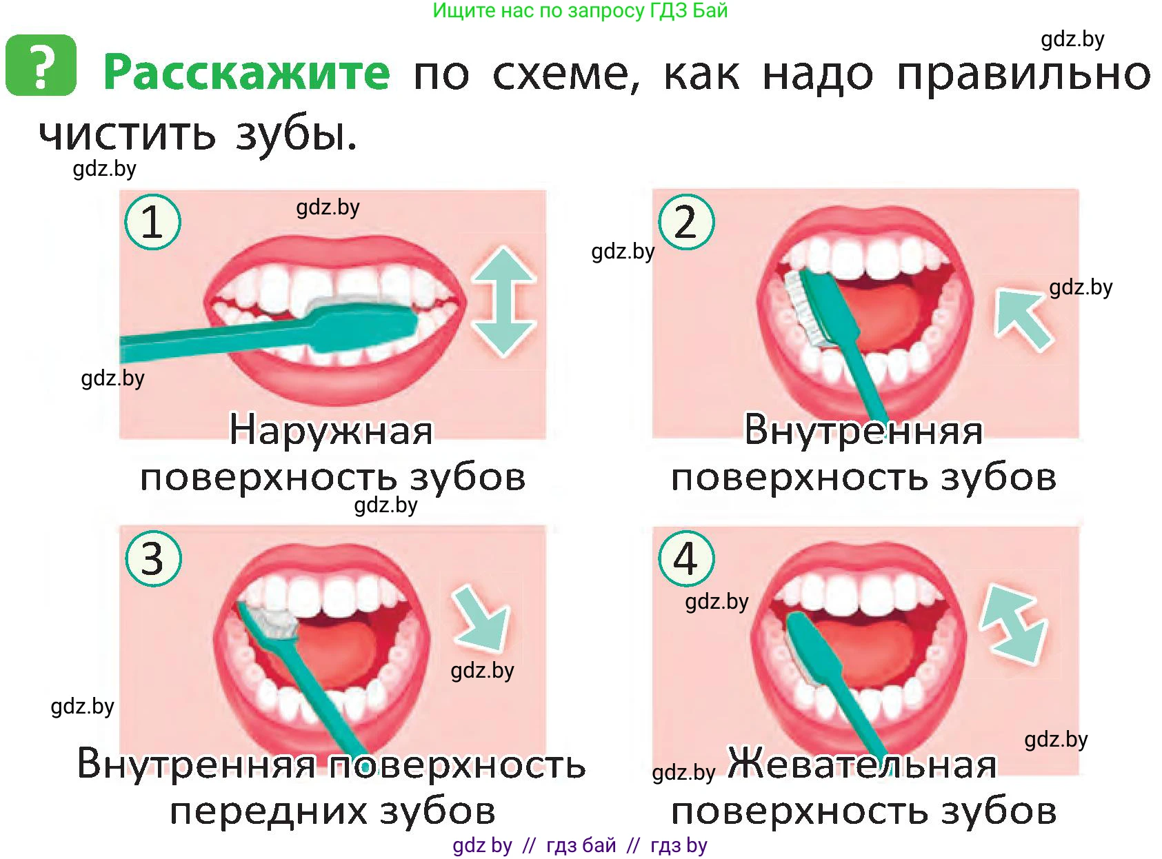 Человек и мир, 2 класс Учебник, авторы: Трафимова Галина Владимировна, Трафимов Сергей Анатольевич, издательство Академия образования, Минск, 2024, страница 119, номер 2, Условие