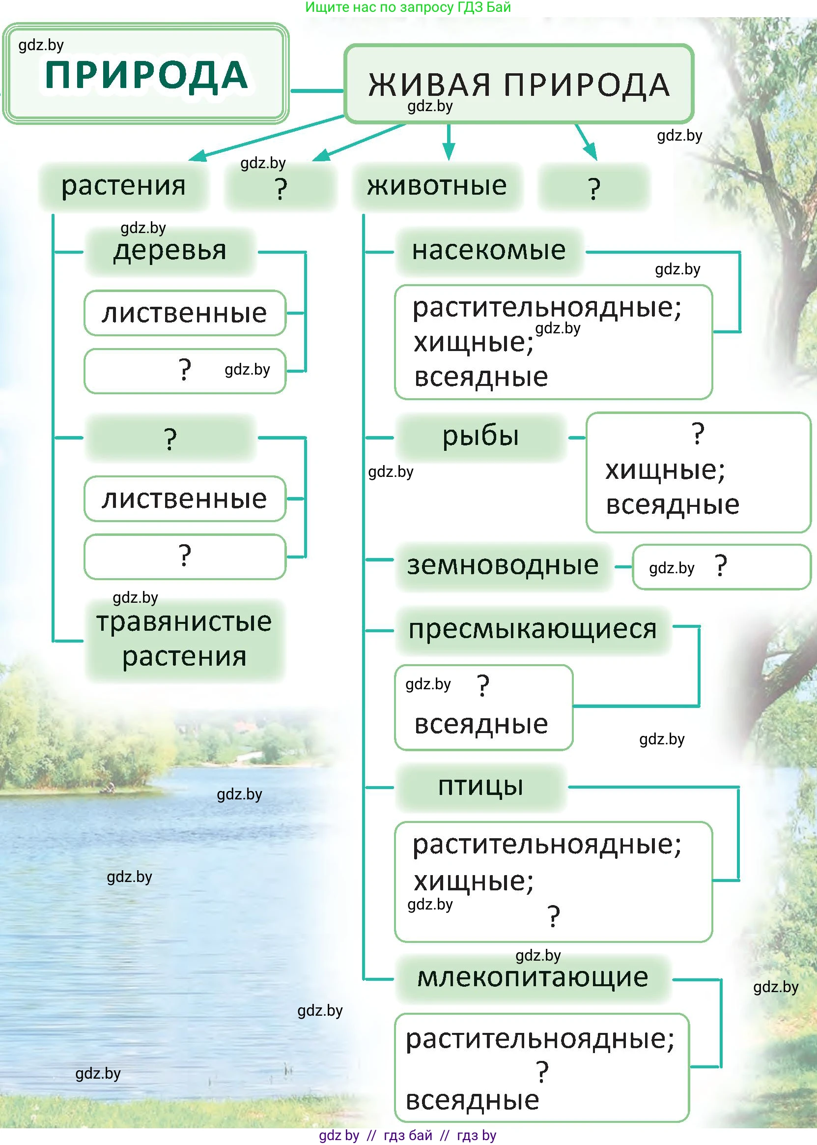 Человек и мир, 2 класс Учебник, авторы: Трафимова Галина Владимировна, Трафимов Сергей Анатольевич, издательство Академия образования, Минск, 2024, страница 140, номер 1, Условие (продолжение 2)
