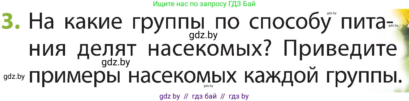 Человек и мир, 2 класс Учебник, авторы: Трафимова Галина Владимировна, Трафимов Сергей Анатольевич, издательство Академия образования, Минск, 2024, страница 81, номер 3, Условие