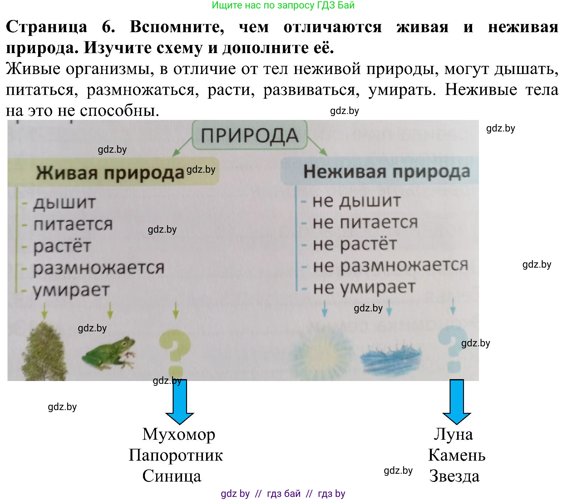 Человек и мир, 2 класс Учебник, авторы: Трафимова Галина Владимировна, Трафимов Сергей Анатольевич, издательство Академия образования, Минск, 2024, страница 6, номер 2, Решение