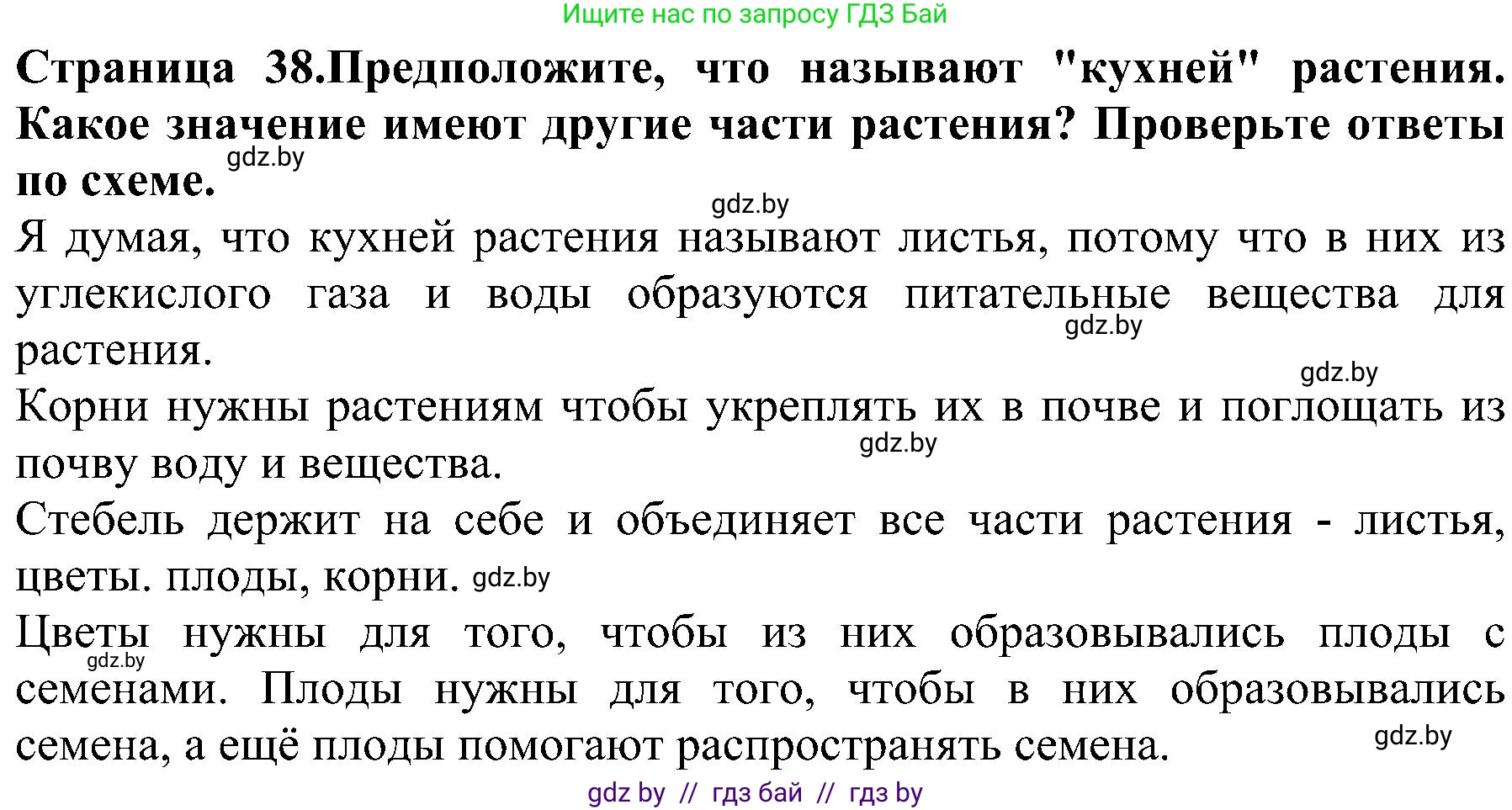 Человек и мир, 2 класс Учебник, авторы: Трафимова Галина Владимировна, Трафимов Сергей Анатольевич, издательство Академия образования, Минск, 2024, страница 38, номер 4, Решение