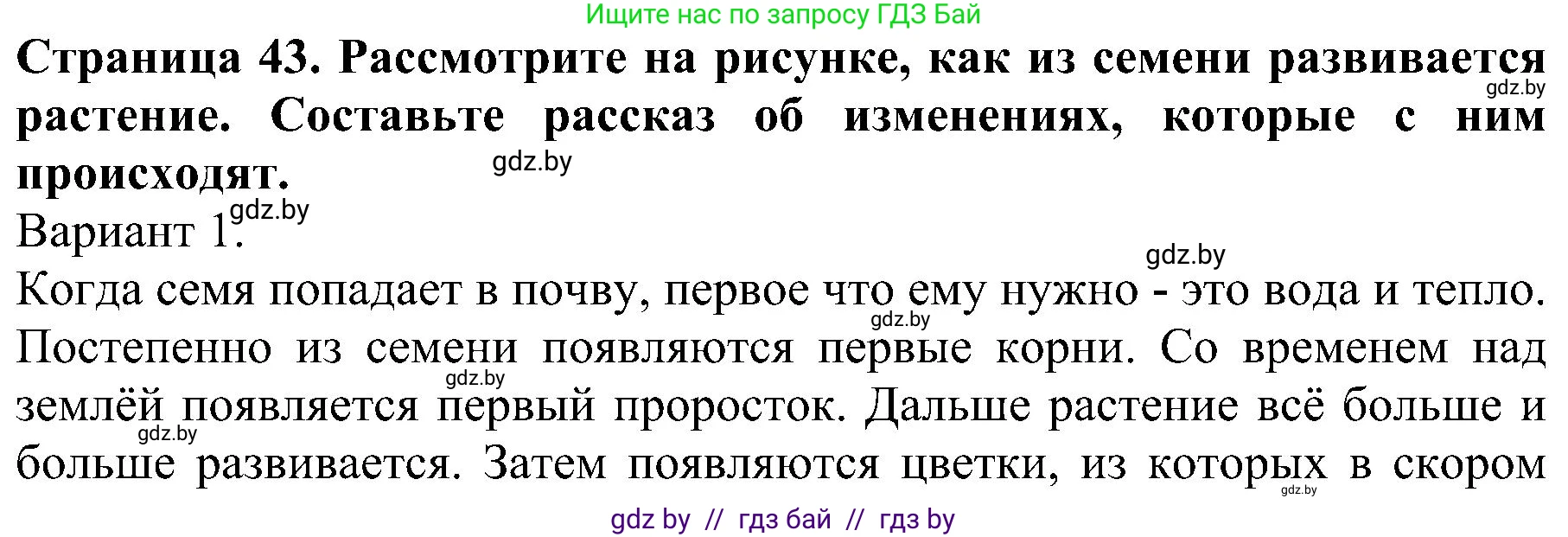 Человек и мир, 2 класс Учебник, авторы: Трафимова Галина Владимировна, Трафимов Сергей Анатольевич, издательство Академия образования, Минск, 2024, страница 43, номер 5, Решение