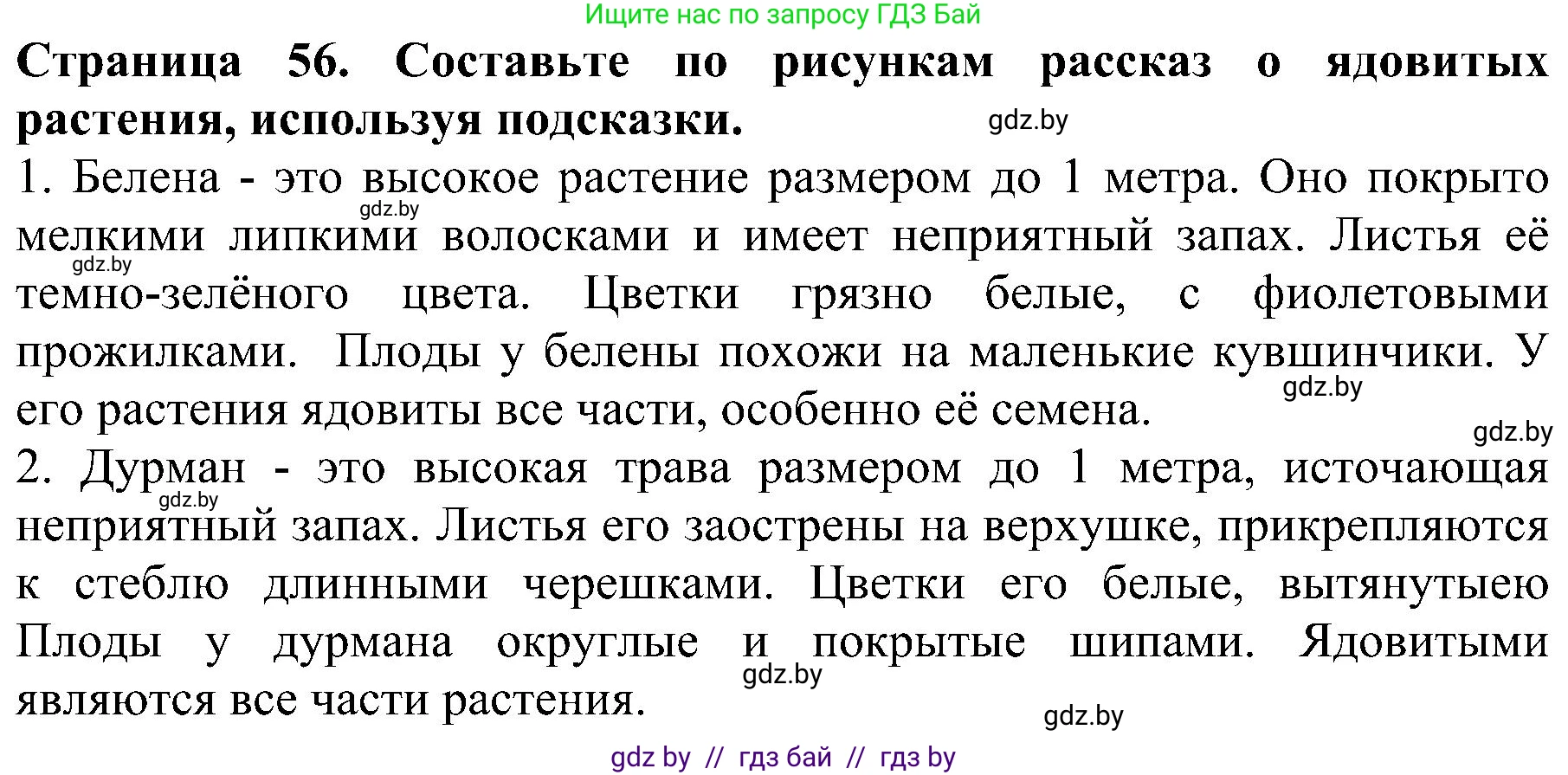 Человек и мир, 2 класс Учебник, авторы: Трафимова Галина Владимировна, Трафимов Сергей Анатольевич, издательство Академия образования, Минск, 2024, страница 56, номер 2, Решение