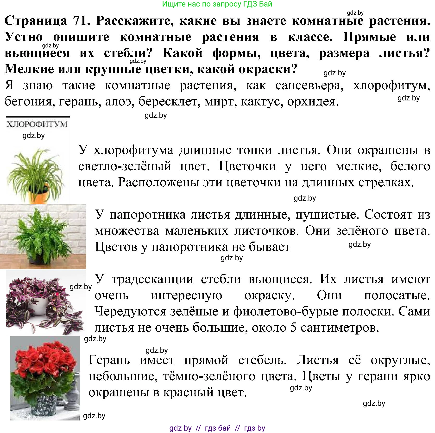 Человек и мир, 2 класс Учебник, авторы: Трафимова Галина Владимировна, Трафимов Сергей Анатольевич, издательство Академия образования, Минск, 2024, страница 71, номер 5, Решение