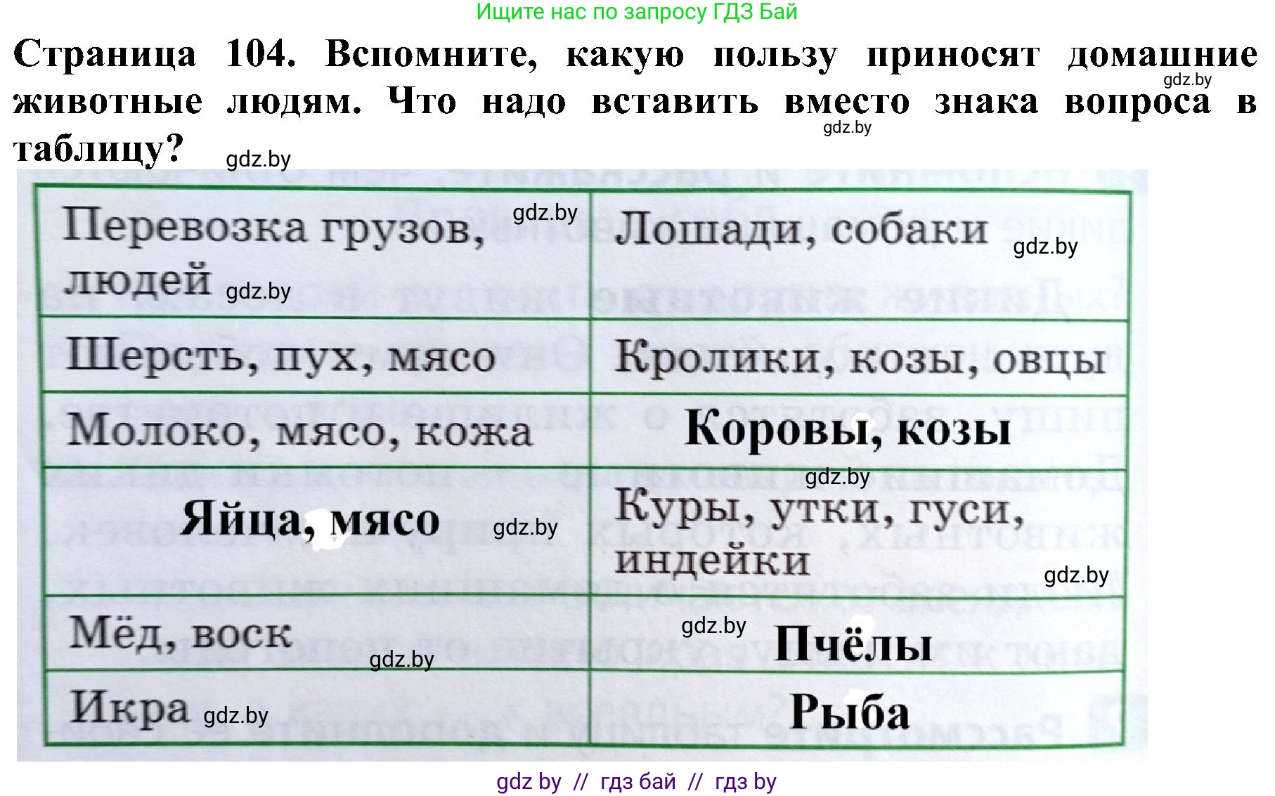 Человек и мир, 2 класс Учебник, авторы: Трафимова Галина Владимировна, Трафимов Сергей Анатольевич, издательство Академия образования, Минск, 2024, страница 104, номер 3, Решение