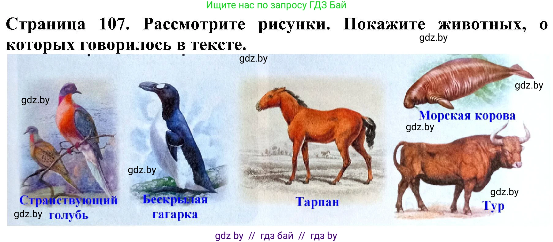 Человек и мир, 2 класс Учебник, авторы: Трафимова Галина Владимировна, Трафимов Сергей Анатольевич, издательство Академия образования, Минск, 2024, страница 107, номер 2, Решение