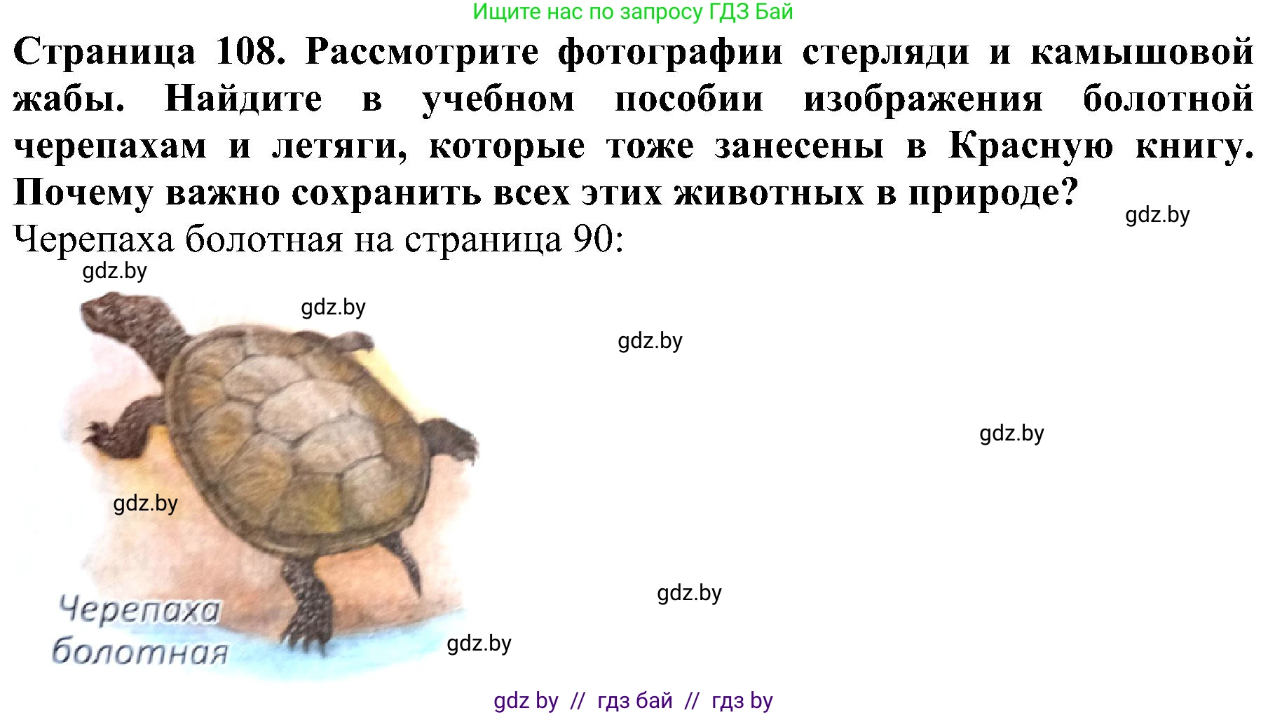 Человек и мир, 2 класс Учебник, авторы: Трафимова Галина Владимировна, Трафимов Сергей Анатольевич, издательство Академия образования, Минск, 2024, страница 108, номер 3, Решение