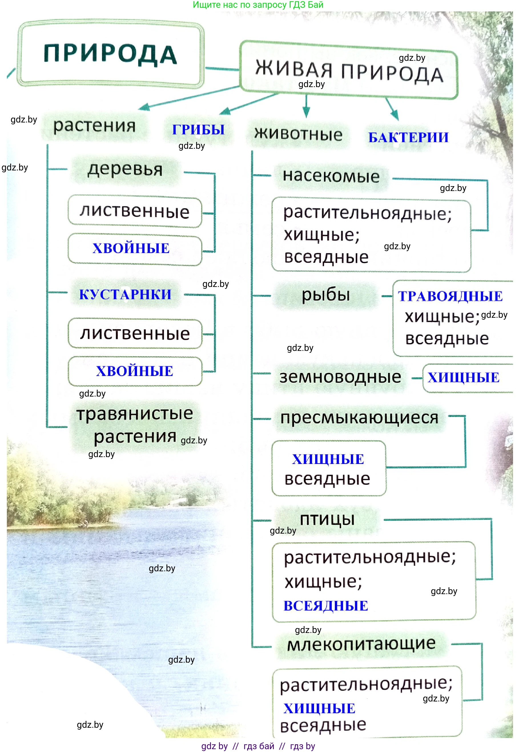 Человек и мир, 2 класс Учебник, авторы: Трафимова Галина Владимировна, Трафимов Сергей Анатольевич, издательство Академия образования, Минск, 2024, страница 140, номер 1, Решение (продолжение 2)