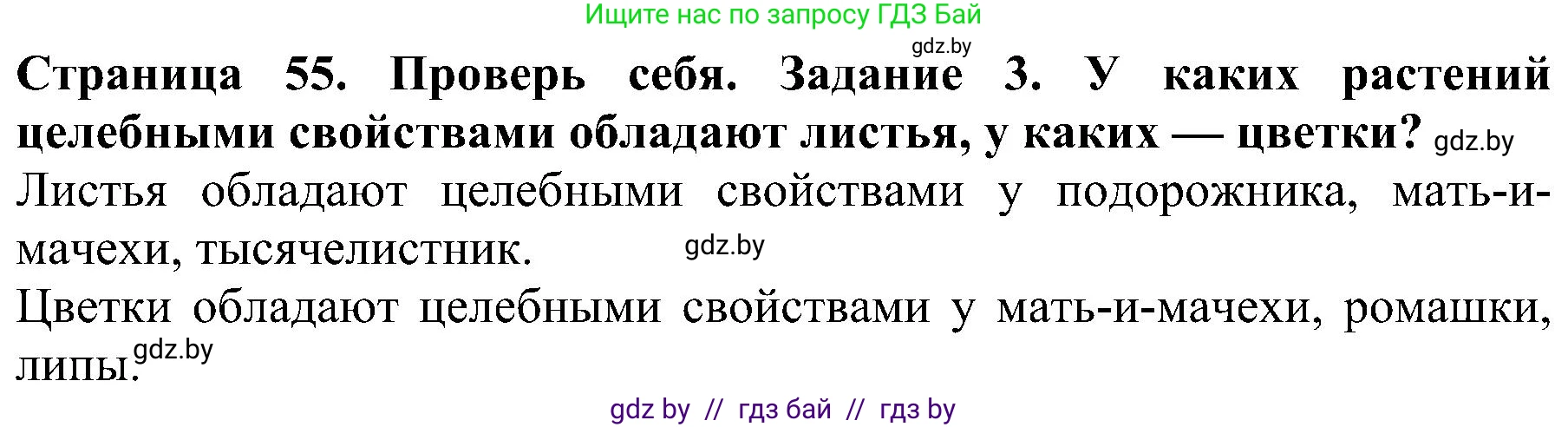 Человек и мир, 2 класс Учебник, авторы: Трафимова Галина Владимировна, Трафимов Сергей Анатольевич, издательство Академия образования, Минск, 2024, страница 55, номер 3, Решение