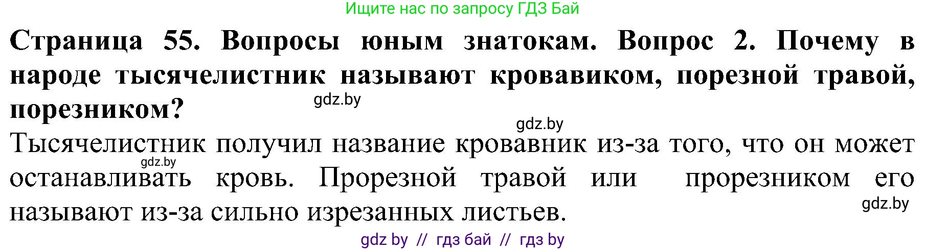 Человек и мир, 2 класс Учебник, авторы: Трафимова Галина Владимировна, Трафимов Сергей Анатольевич, издательство Академия образования, Минск, 2024, страница 55, номер 2, Решение