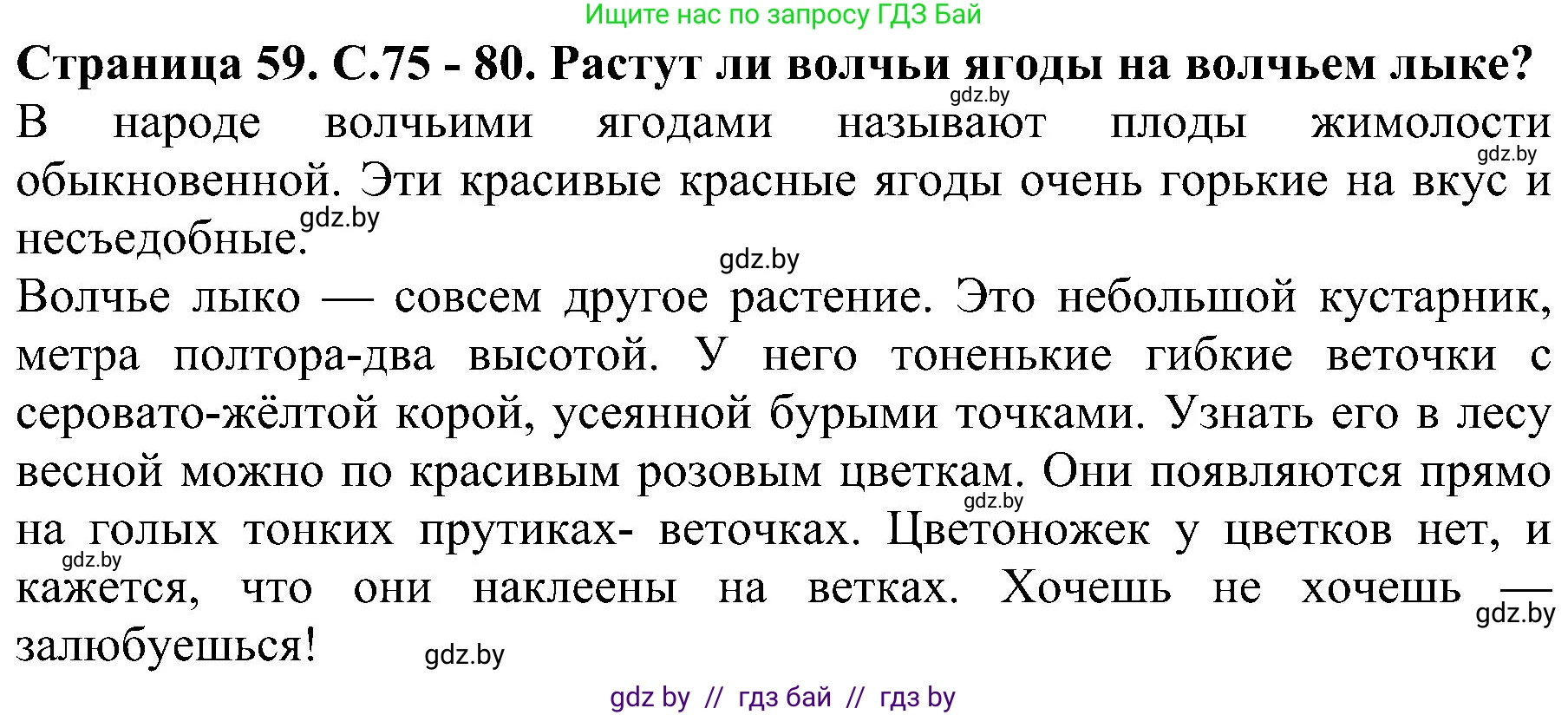 Человек и мир, 2 класс Учебник, авторы: Трафимова Галина Владимировна, Трафимов Сергей Анатольевич, издательство Академия образования, Минск, 2024, страница 59, номер 3, Решение