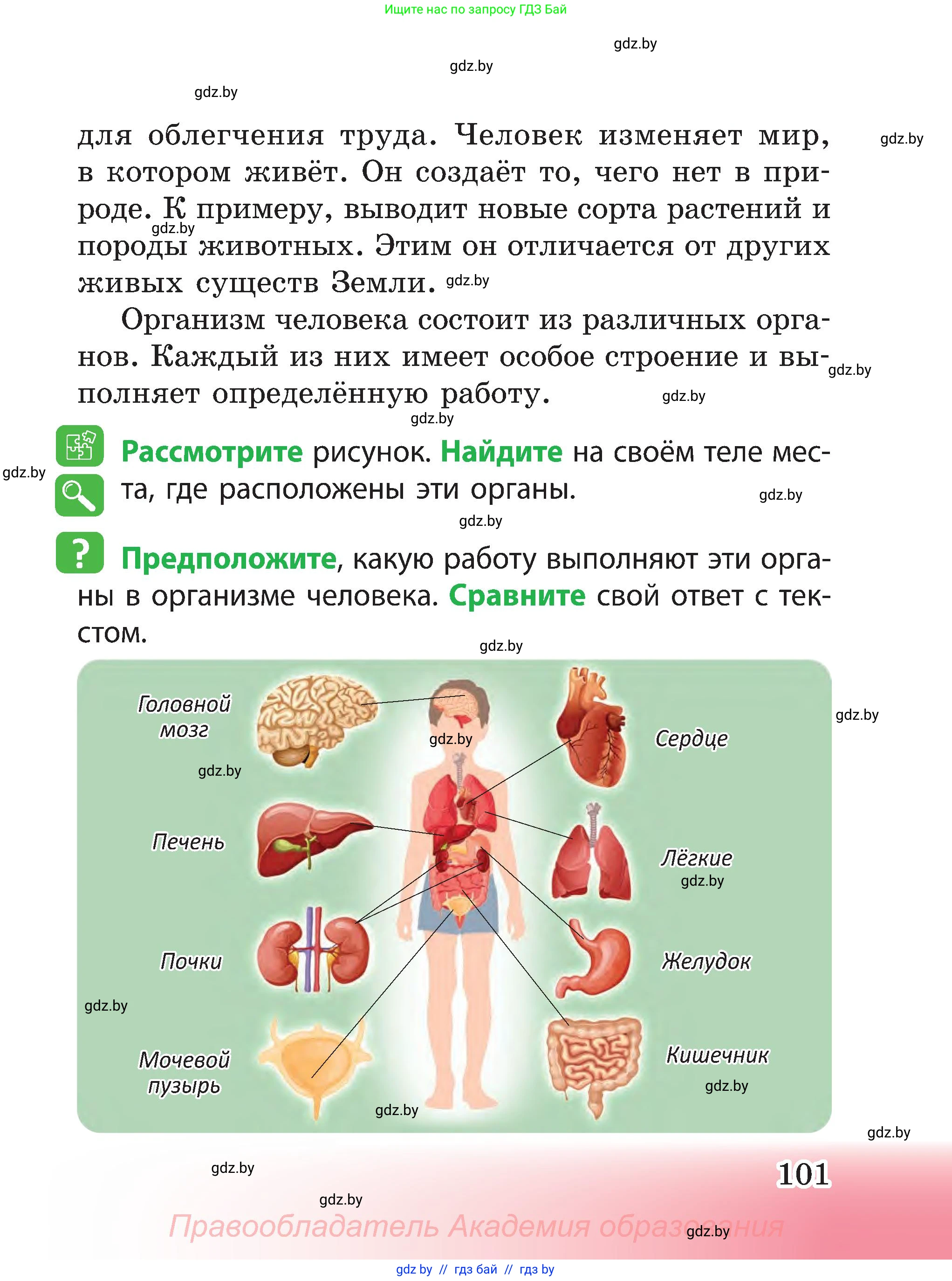 Человек и мир, 3 класс Учебник, авторы: Трафимова Галина Владимировна, Трафимов Сергей Анатольевич, издательство Академия образования, Минск, 2025, голубого цвета, страница 101