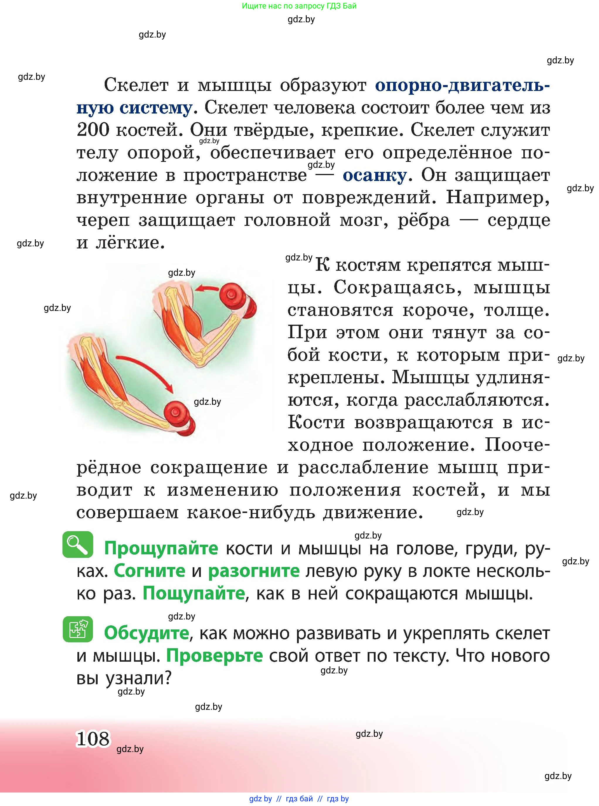 Человек и мир, 3 класс Учебник, авторы: Трафимова Галина Владимировна, Трафимов Сергей Анатольевич, издательство Академия образования, Минск, 2025, голубого цвета, страница 108