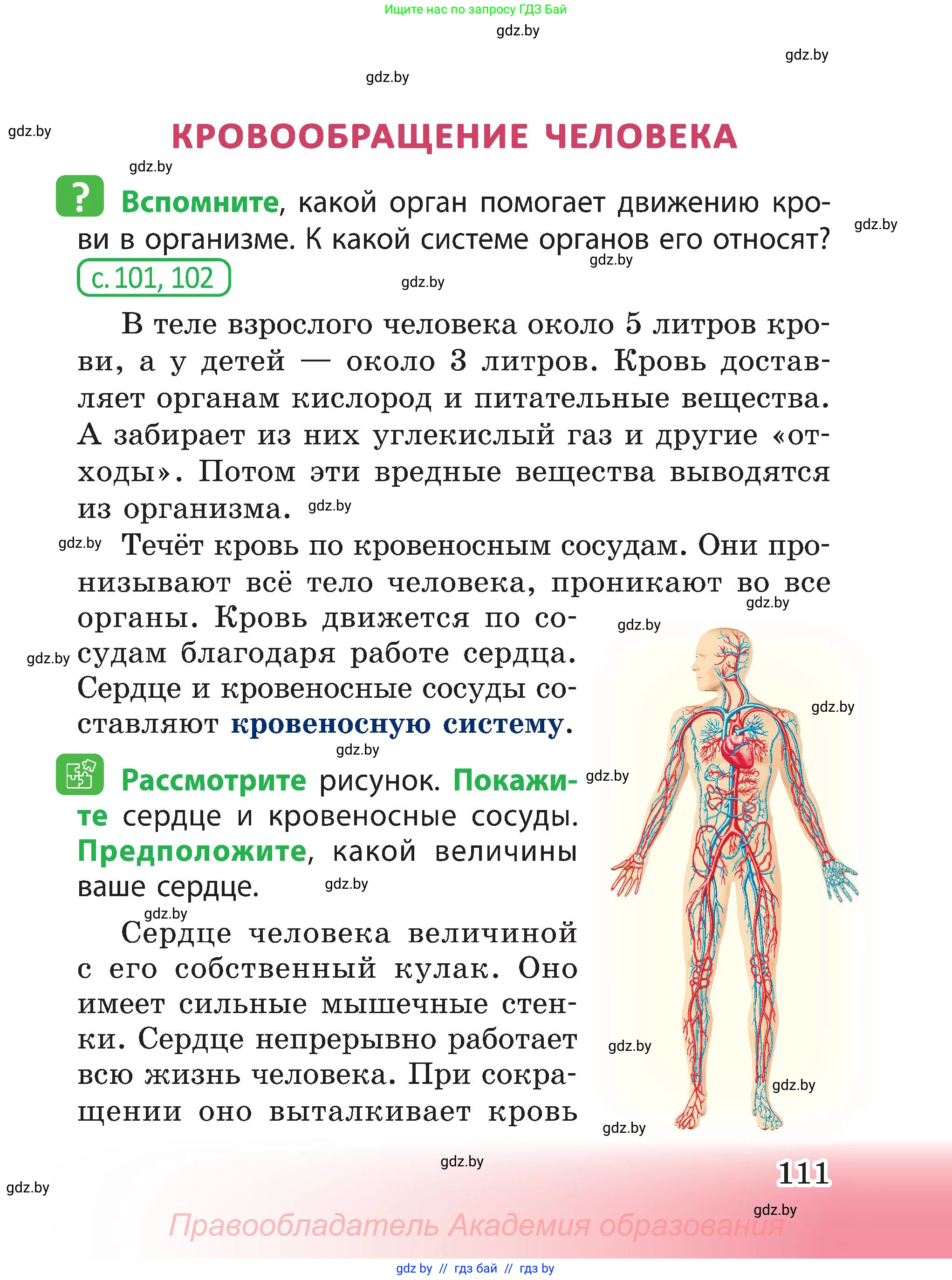Человек и мир, 3 класс Учебник, авторы: Трафимова Галина Владимировна, Трафимов Сергей Анатольевич, издательство Академия образования, Минск, 2025, голубого цвета, страница 111
