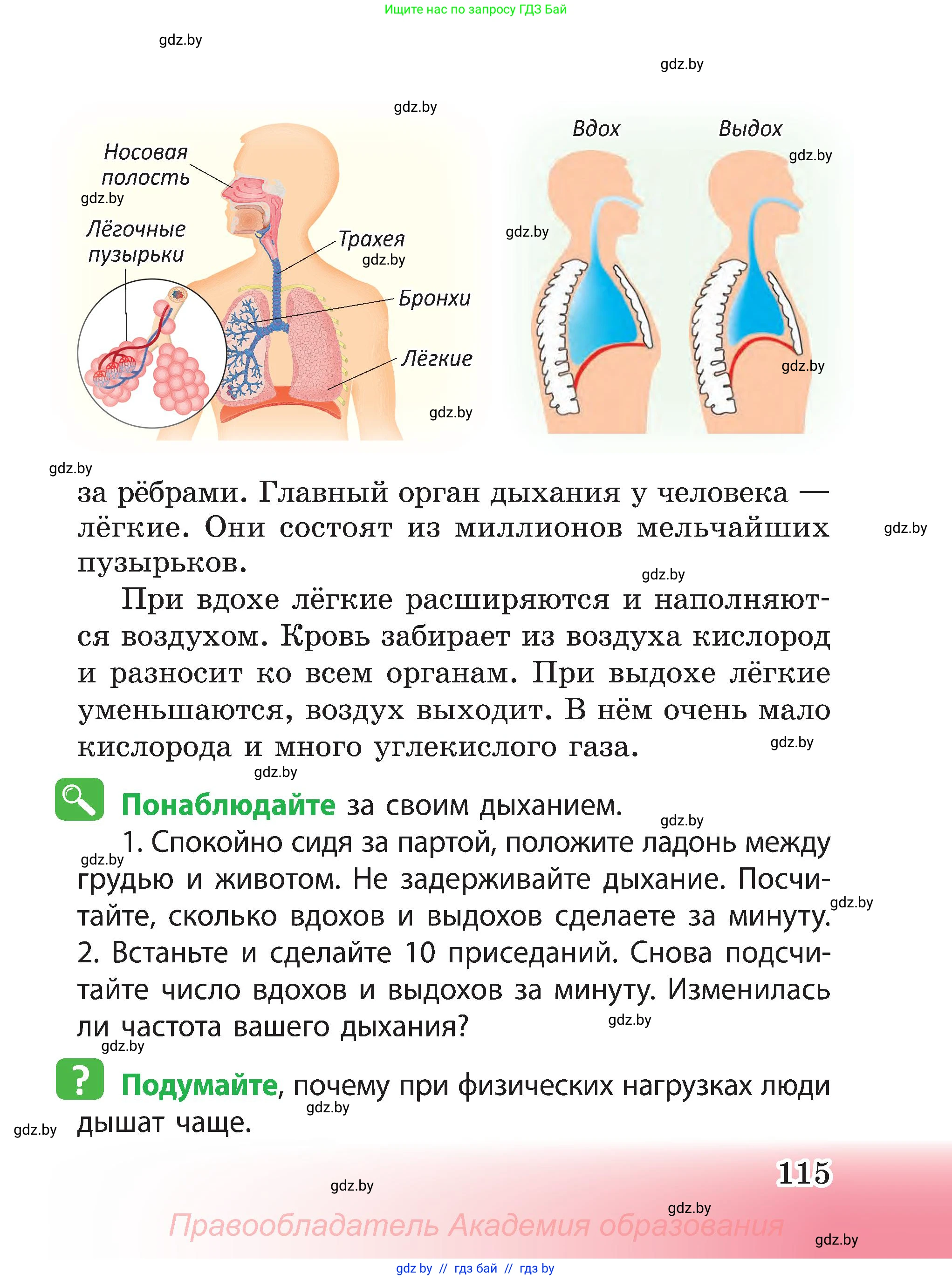 Человек и мир, 3 класс Учебник, авторы: Трафимова Галина Владимировна, Трафимов Сергей Анатольевич, издательство Академия образования, Минск, 2025, голубого цвета, страница 115