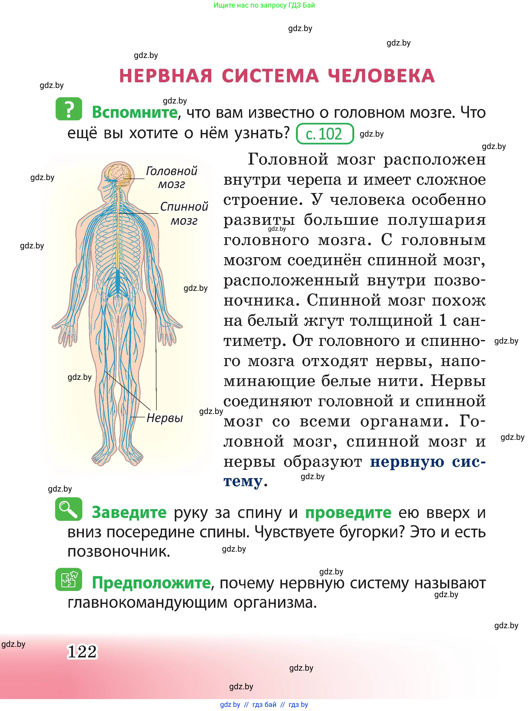 Человек и мир, 3 класс Учебник, авторы: Трафимова Галина Владимировна, Трафимов Сергей Анатольевич, издательство Академия образования, Минск, 2025, голубого цвета, страница 122