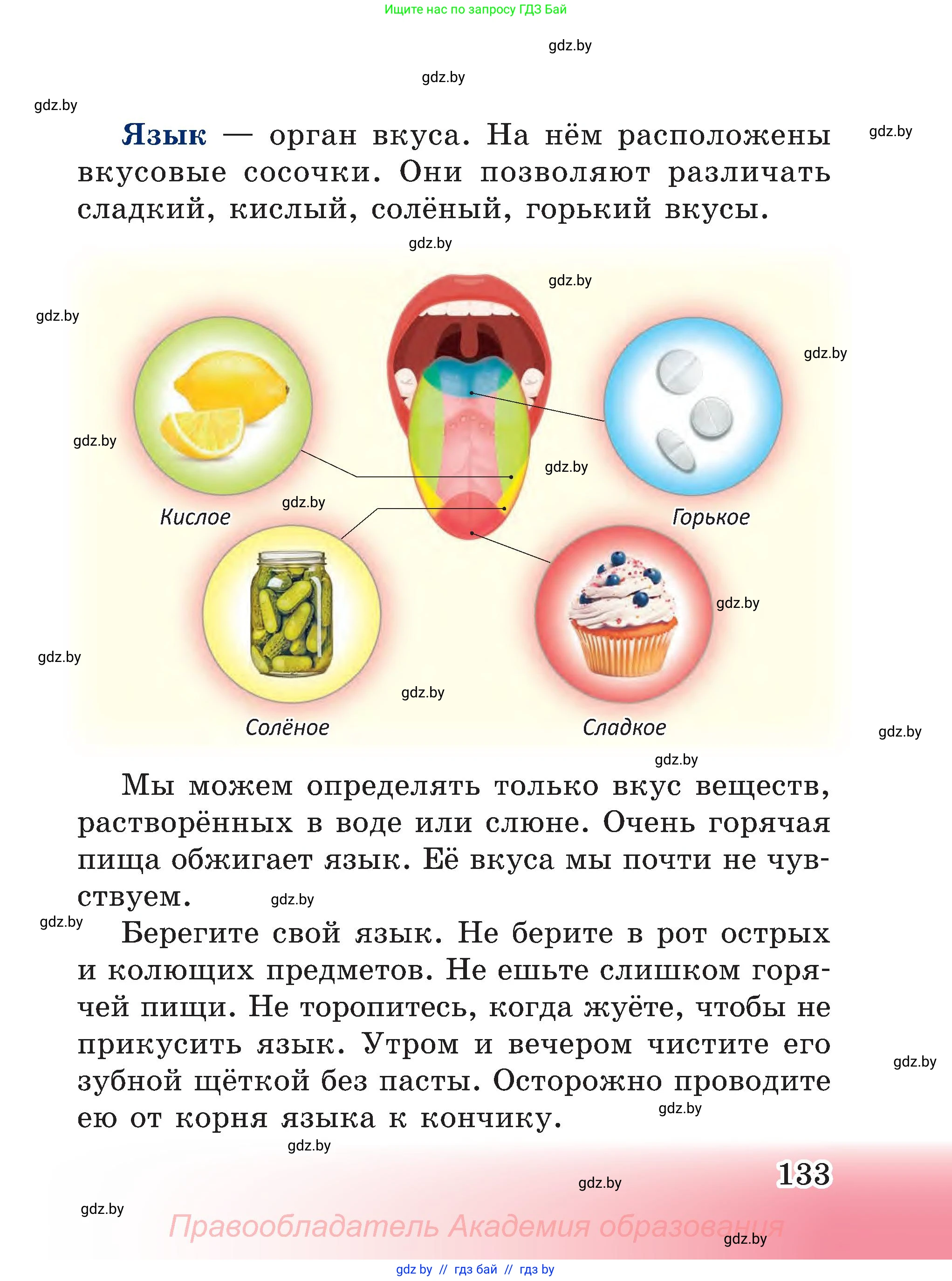 Человек и мир, 3 класс Учебник, авторы: Трафимова Галина Владимировна, Трафимов Сергей Анатольевич, издательство Академия образования, Минск, 2025, голубого цвета, страница 133