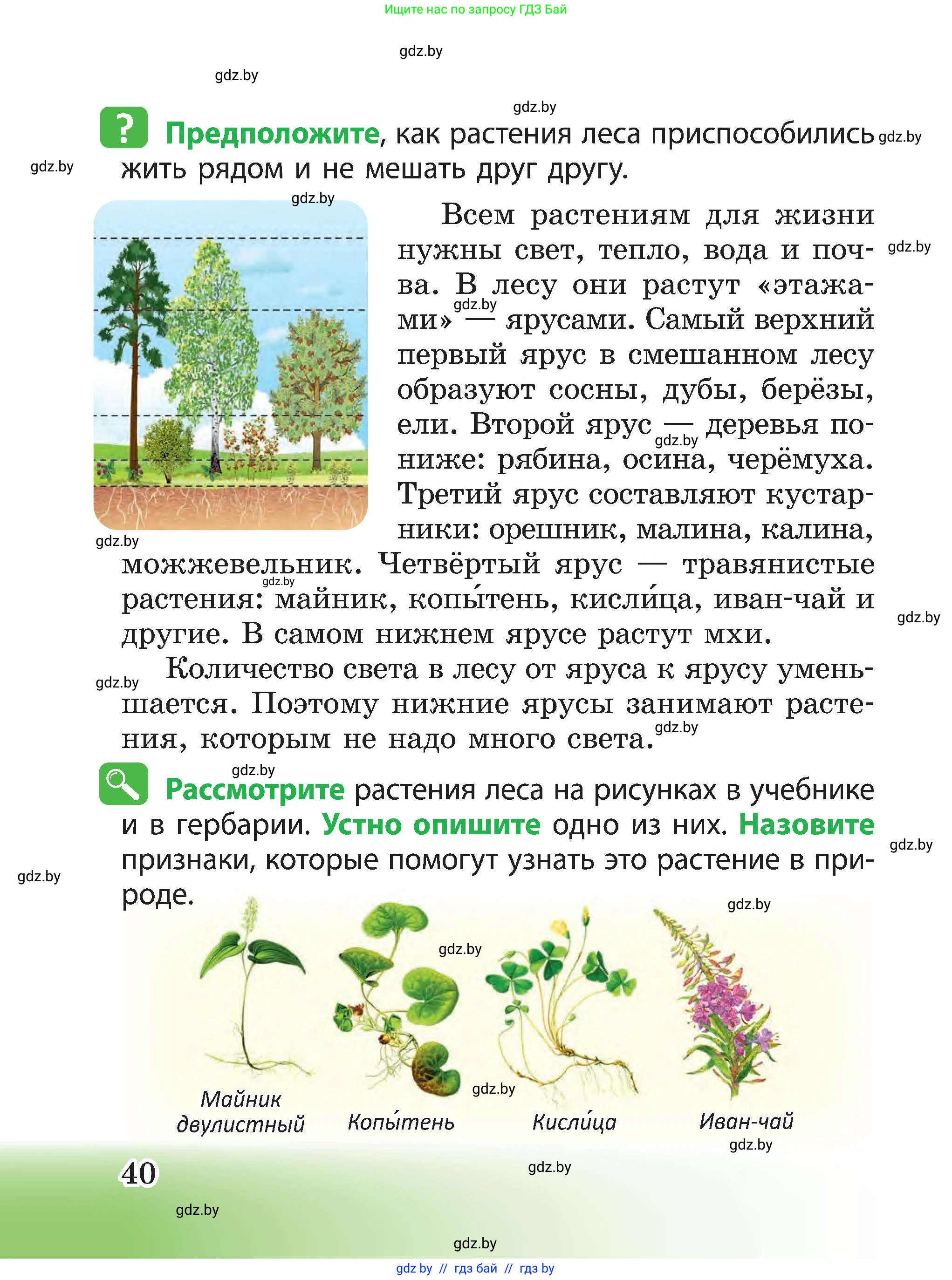 Человек и мир, 3 класс Учебник, авторы: Трафимова Галина Владимировна, Трафимов Сергей Анатольевич, издательство Академия образования, Минск, 2025, голубого цвета, страница 40