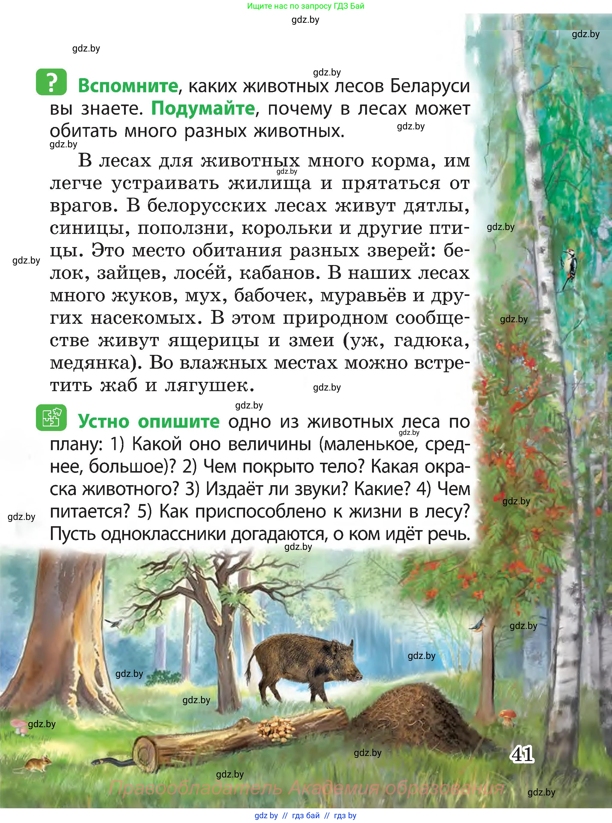 Человек и мир, 3 класс Учебник, авторы: Трафимова Галина Владимировна, Трафимов Сергей Анатольевич, издательство Академия образования, Минск, 2025, голубого цвета, страница 41
