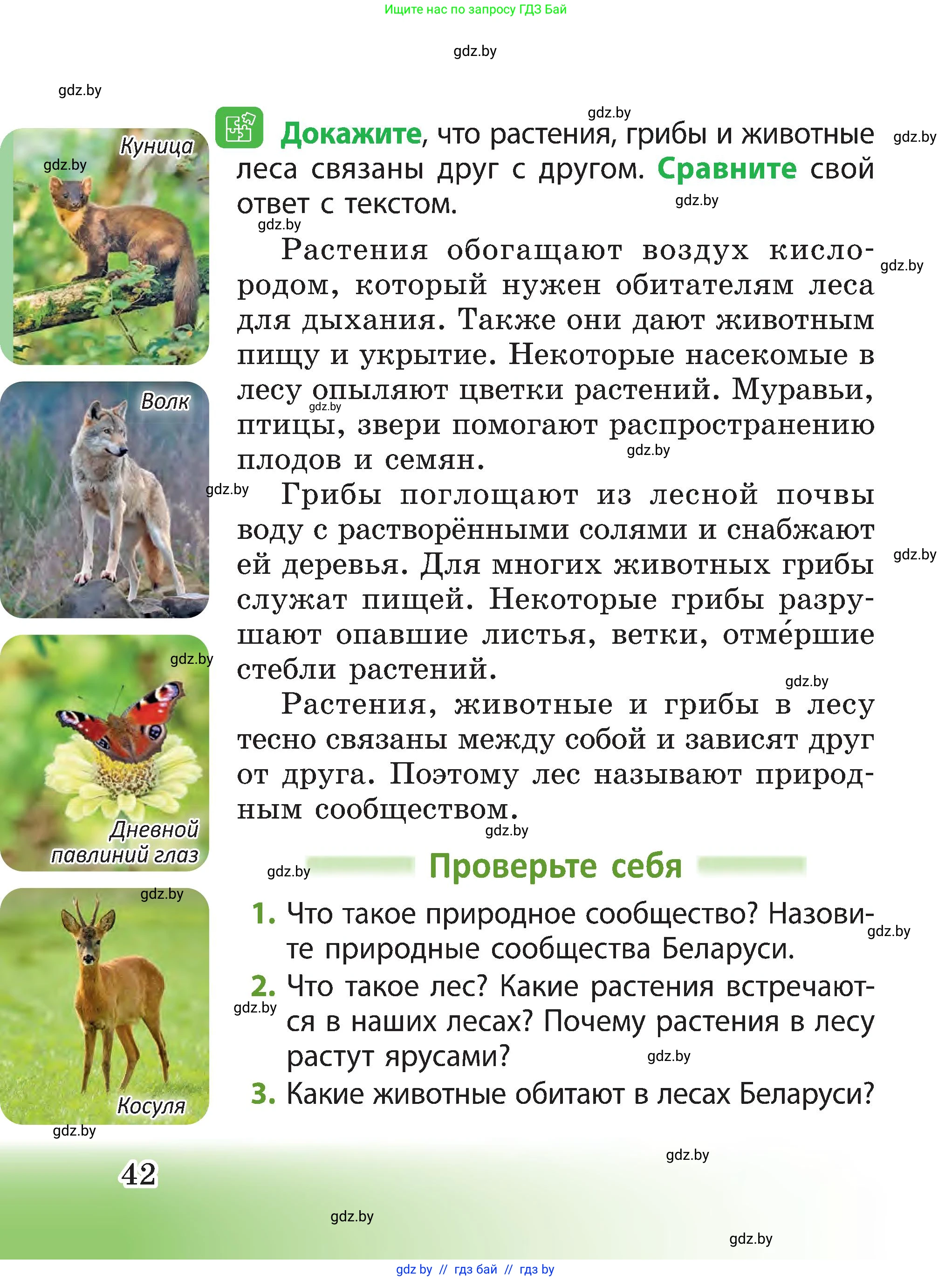 Человек и мир, 3 класс Учебник, авторы: Трафимова Галина Владимировна, Трафимов Сергей Анатольевич, издательство Академия образования, Минск, 2025, голубого цвета, страница 42