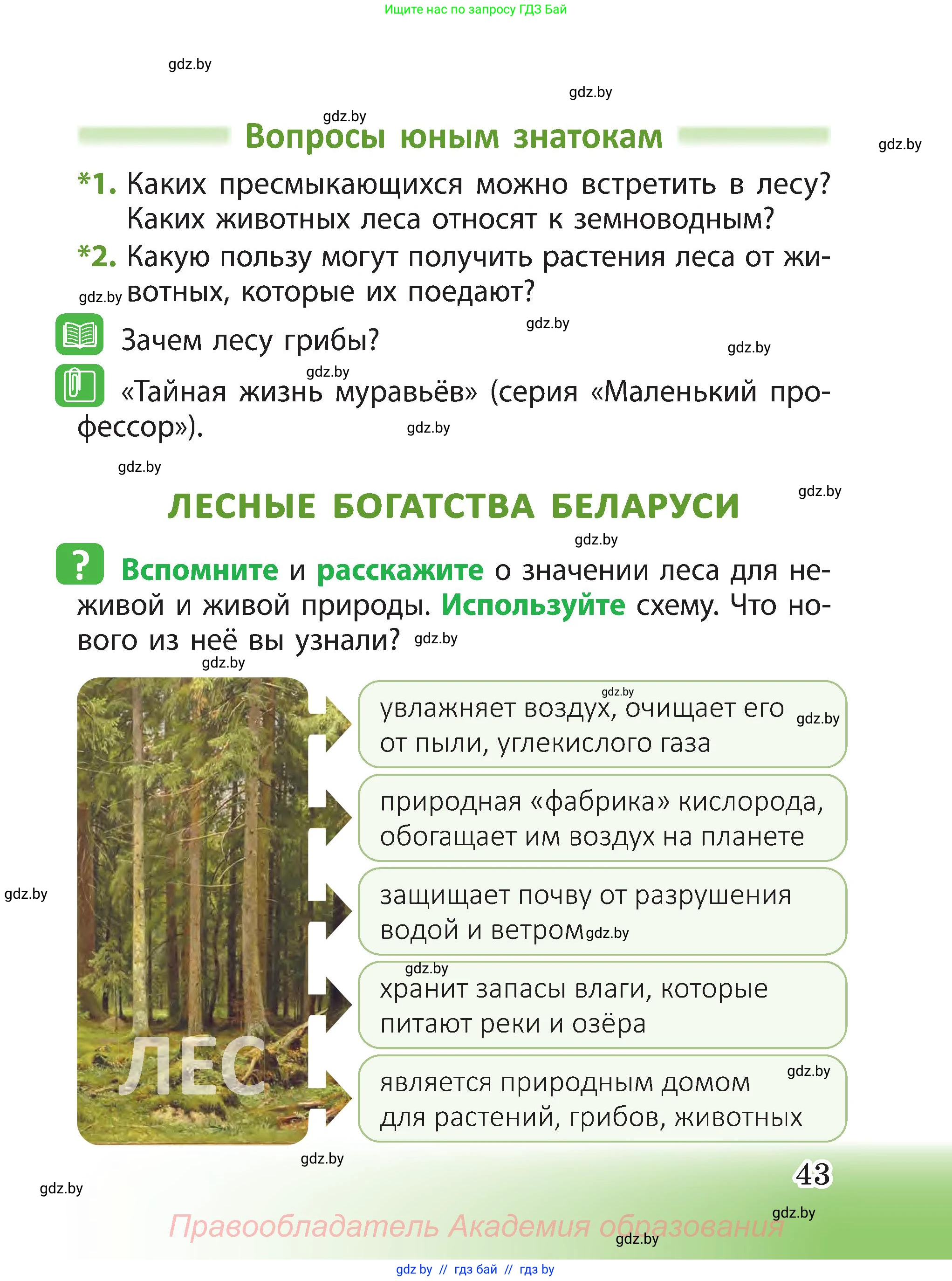 Человек и мир, 3 класс Учебник, авторы: Трафимова Галина Владимировна, Трафимов Сергей Анатольевич, издательство Академия образования, Минск, 2025, голубого цвета, страница 43