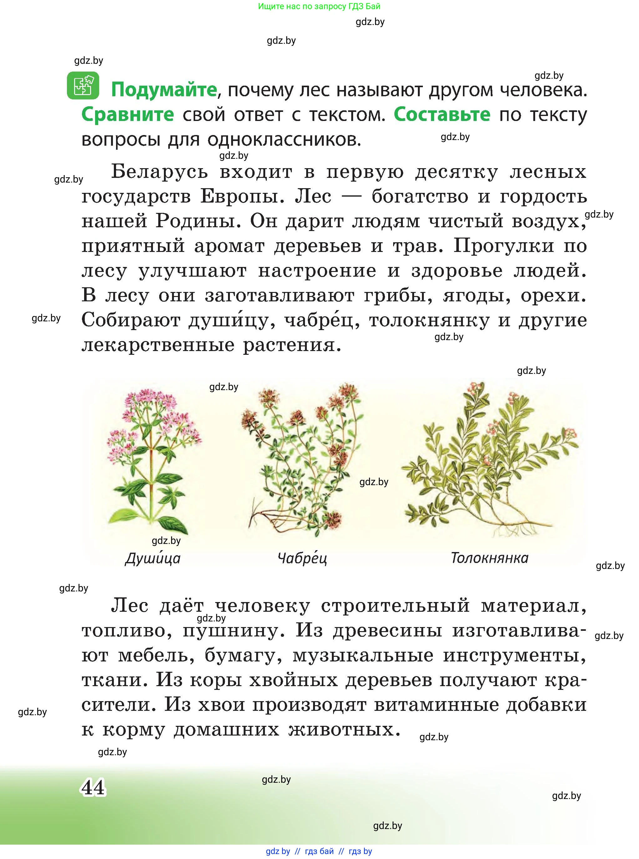 Человек и мир, 3 класс Учебник, авторы: Трафимова Галина Владимировна, Трафимов Сергей Анатольевич, издательство Академия образования, Минск, 2025, голубого цвета, страница 44