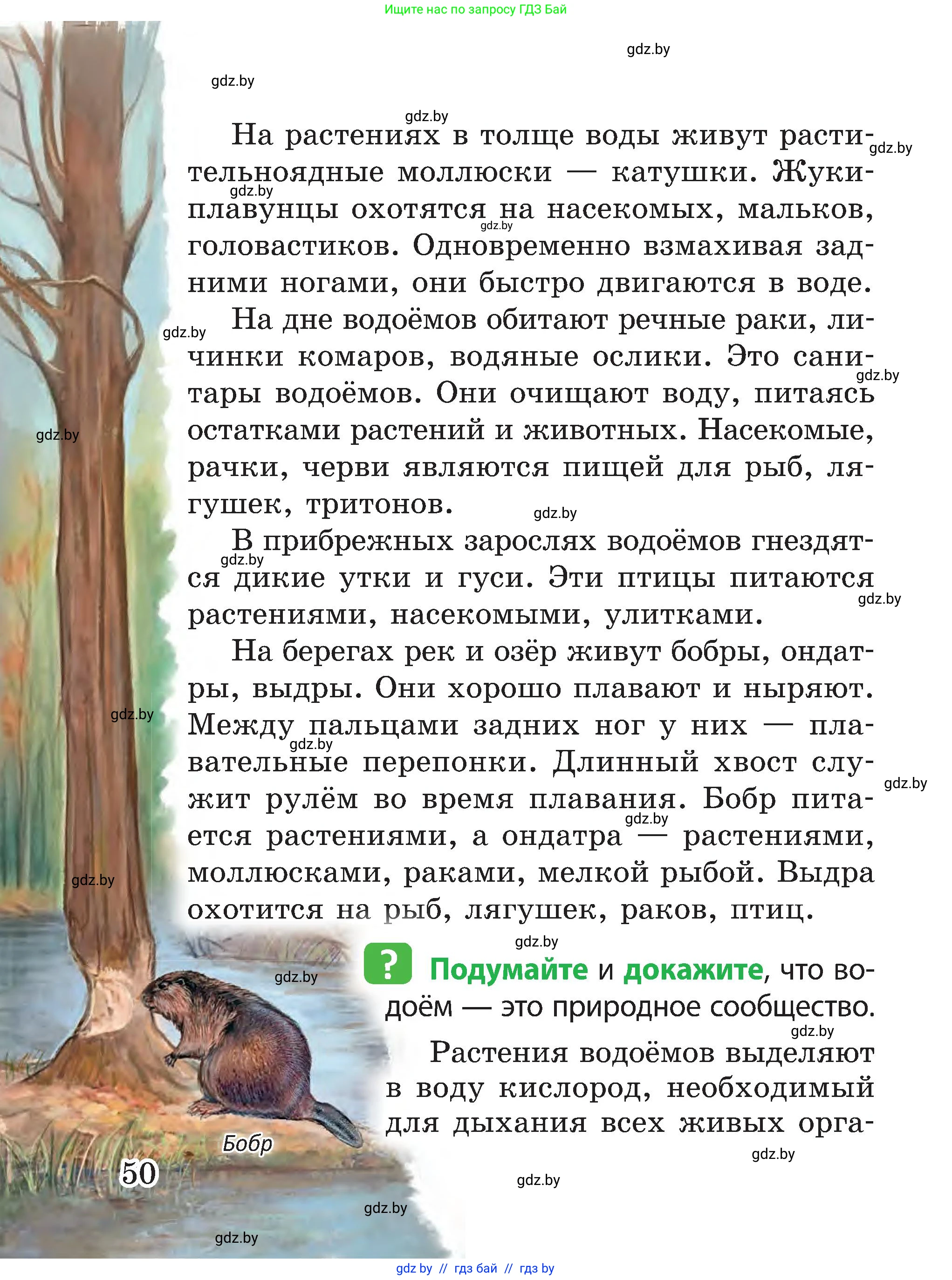 Человек и мир, 3 класс Учебник, авторы: Трафимова Галина Владимировна, Трафимов Сергей Анатольевич, издательство Академия образования, Минск, 2025, голубого цвета, страница 50