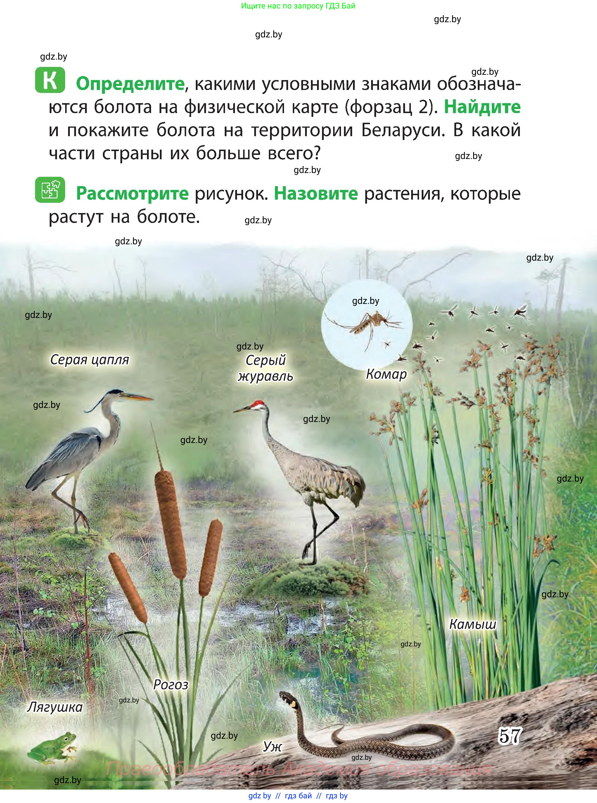 Человек и мир, 3 класс Учебник, авторы: Трафимова Галина Владимировна, Трафимов Сергей Анатольевич, издательство Академия образования, Минск, 2025, голубого цвета, страница 57