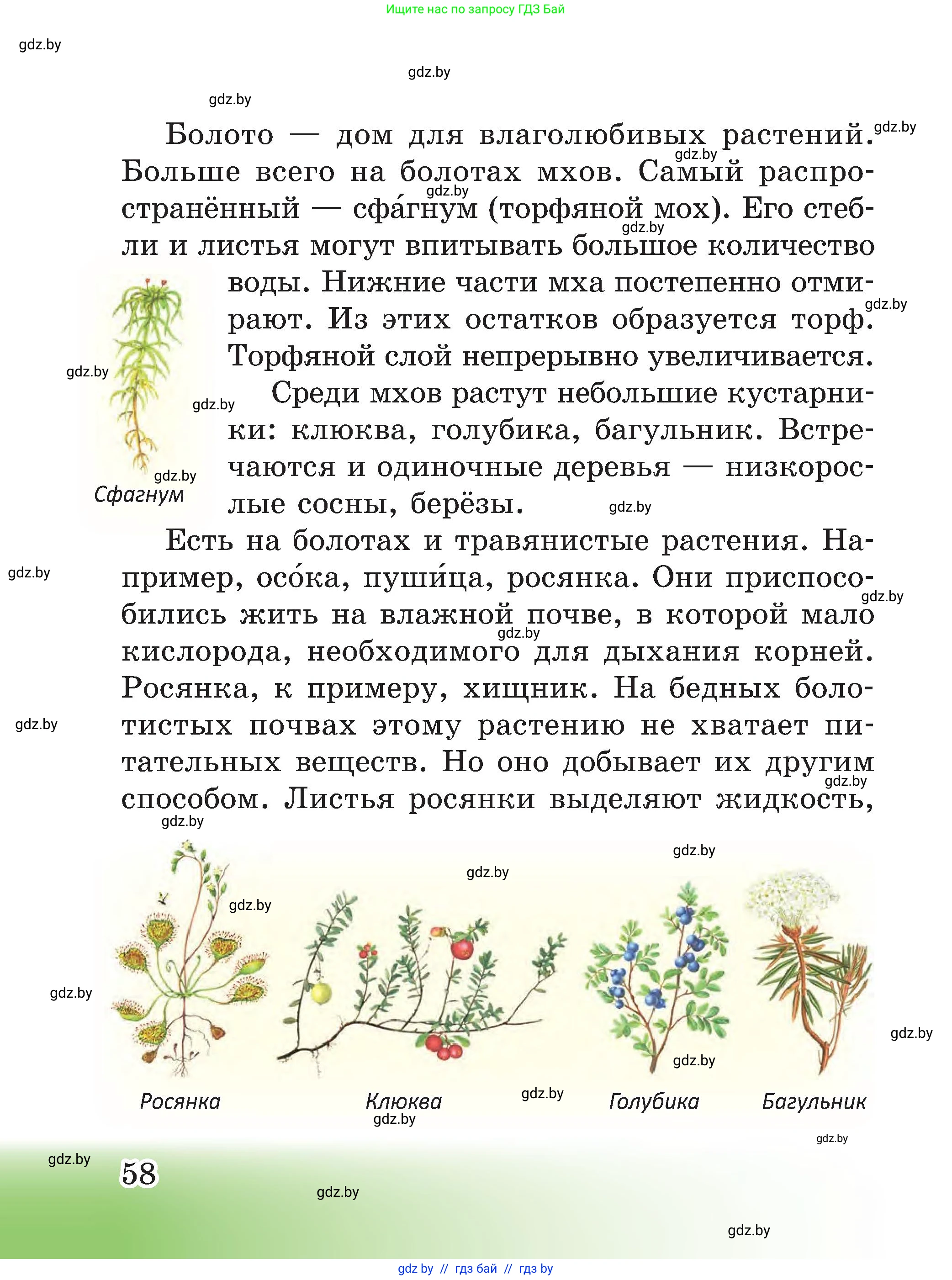 Человек и мир, 3 класс Учебник, авторы: Трафимова Галина Владимировна, Трафимов Сергей Анатольевич, издательство Академия образования, Минск, 2025, голубого цвета, страница 58