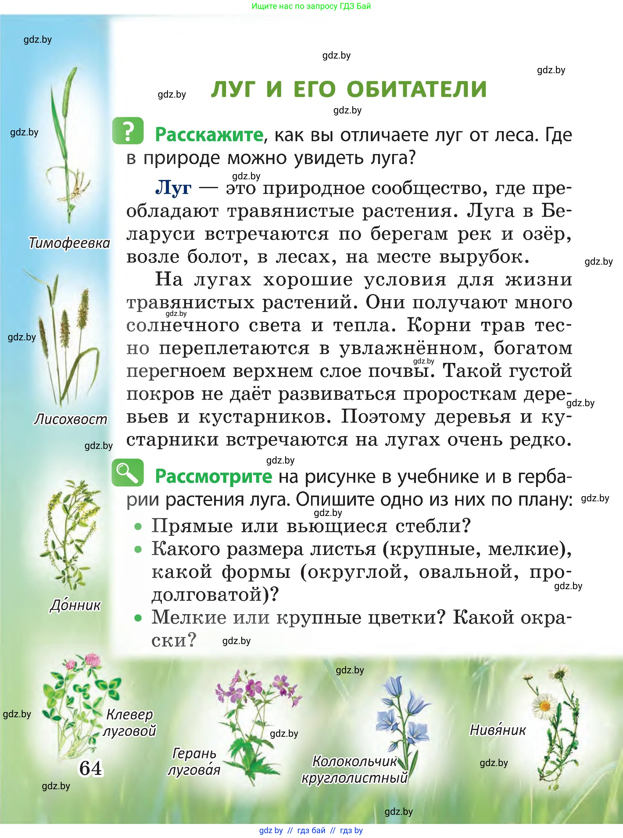 Человек и мир, 3 класс Учебник, авторы: Трафимова Галина Владимировна, Трафимов Сергей Анатольевич, издательство Академия образования, Минск, 2025, голубого цвета, страница 64
