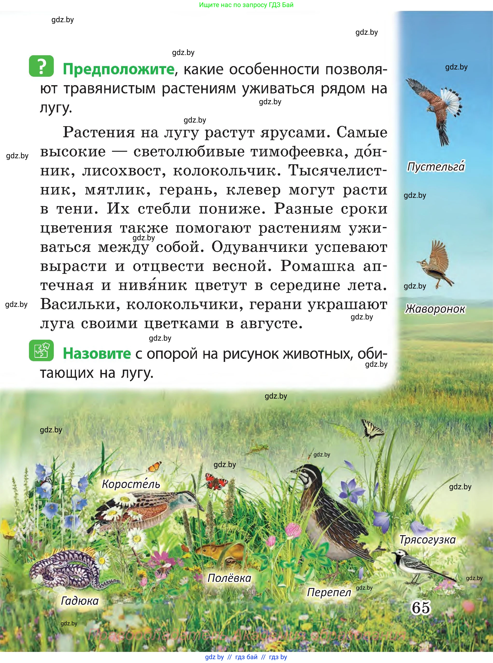 Человек и мир, 3 класс Учебник, авторы: Трафимова Галина Владимировна, Трафимов Сергей Анатольевич, издательство Академия образования, Минск, 2025, голубого цвета, страница 65