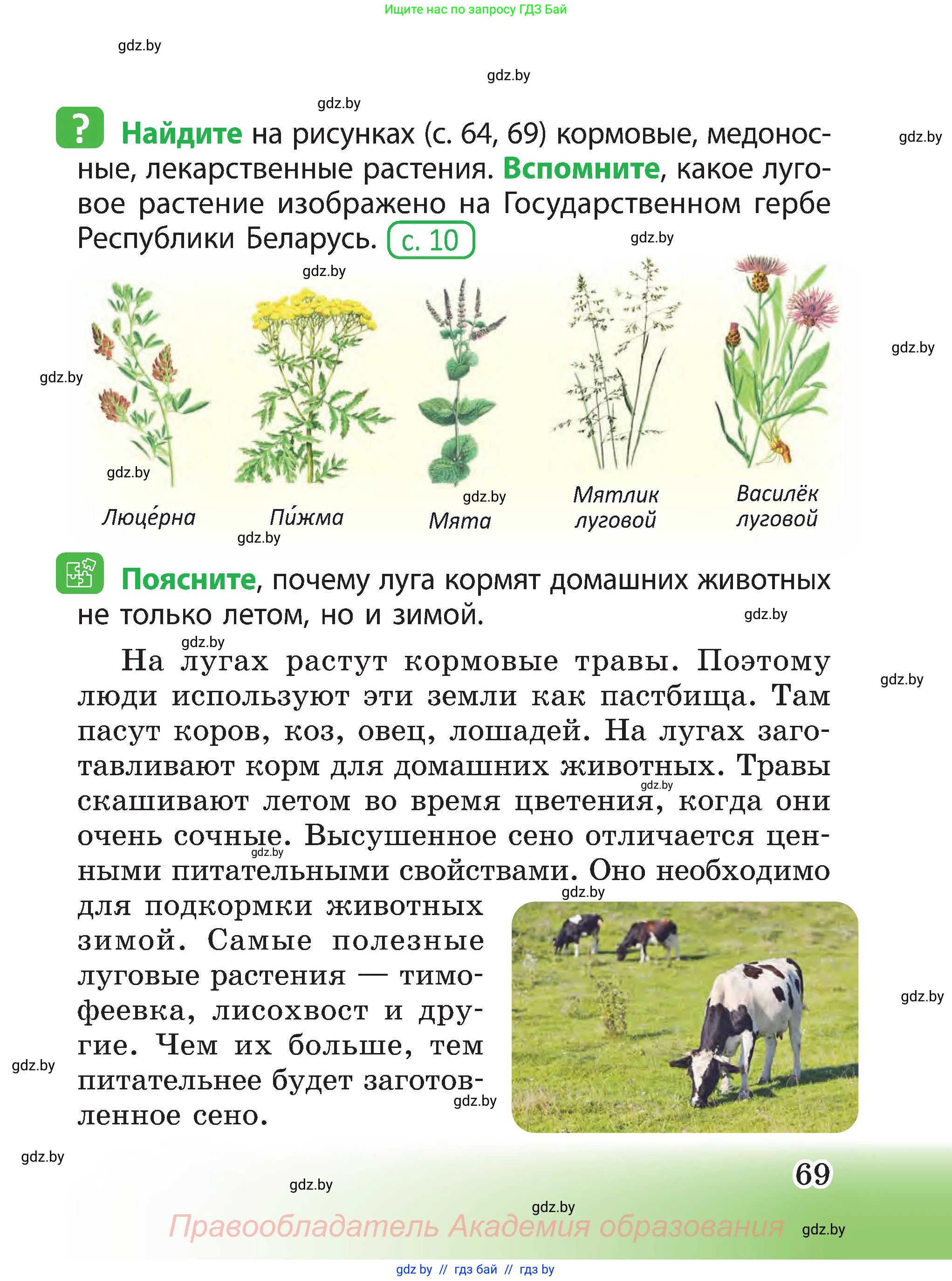 Человек и мир, 3 класс Учебник, авторы: Трафимова Галина Владимировна, Трафимов Сергей Анатольевич, издательство Академия образования, Минск, 2025, голубого цвета, страница 69