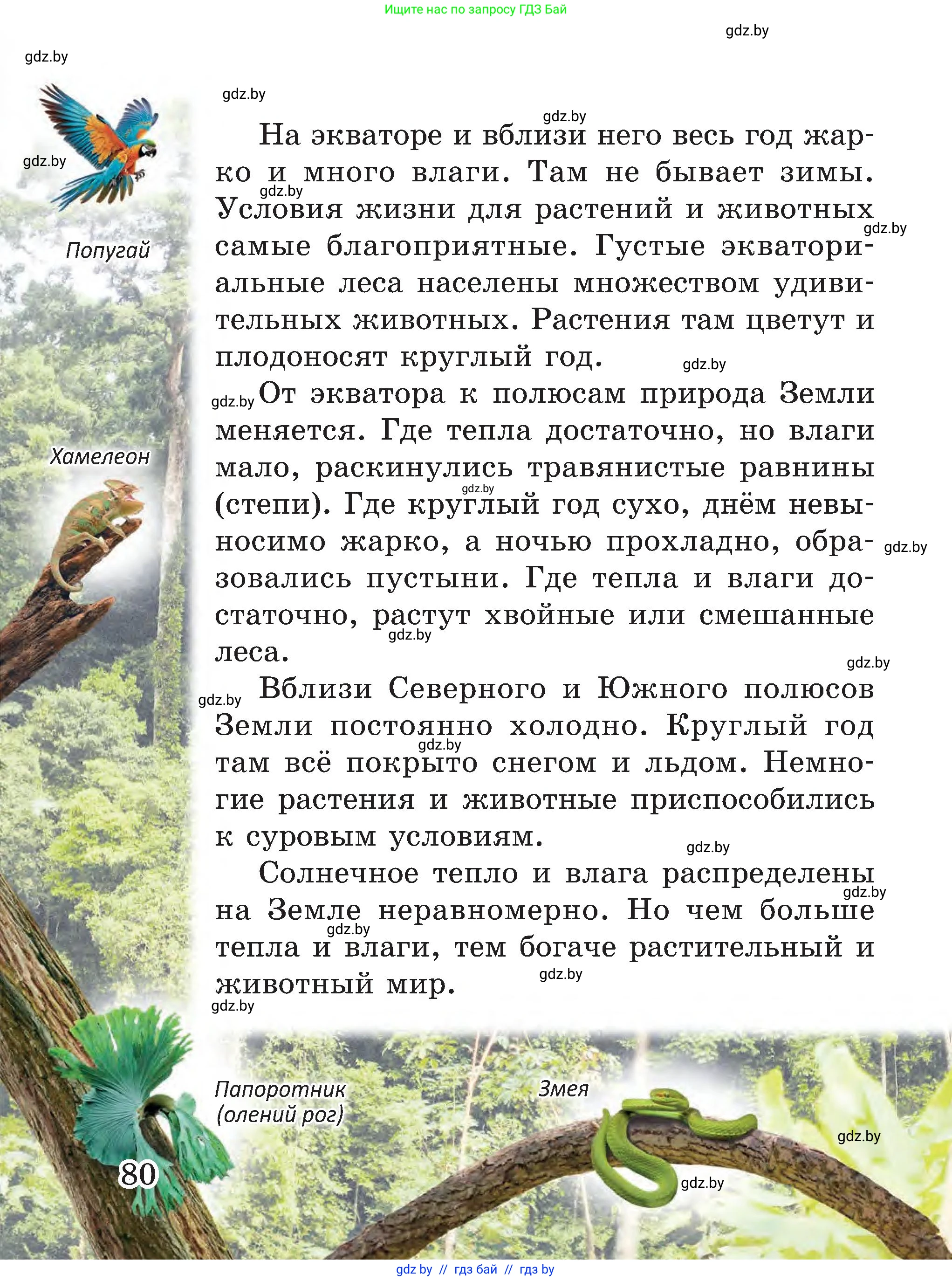 Человек и мир, 3 класс Учебник, авторы: Трафимова Галина Владимировна, Трафимов Сергей Анатольевич, издательство Академия образования, Минск, 2025, голубого цвета, страница 80
