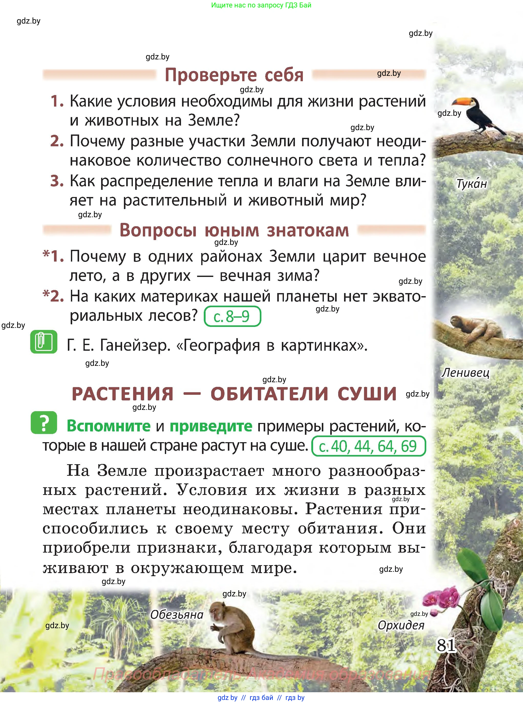 Человек и мир, 3 класс Учебник, авторы: Трафимова Галина Владимировна, Трафимов Сергей Анатольевич, издательство Академия образования, Минск, 2025, голубого цвета, страница 81