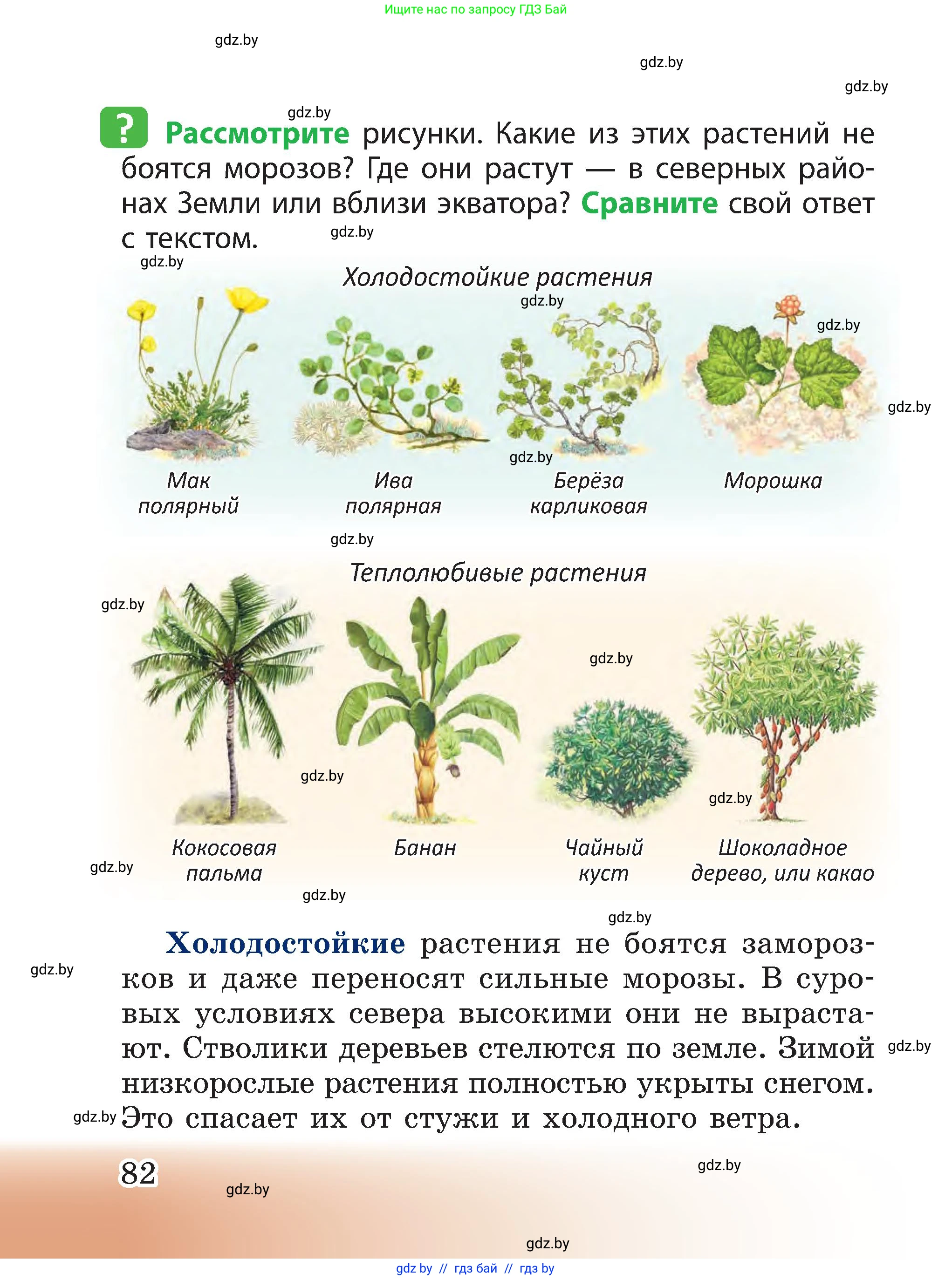 Человек и мир, 3 класс Учебник, авторы: Трафимова Галина Владимировна, Трафимов Сергей Анатольевич, издательство Академия образования, Минск, 2025, голубого цвета, страница 82