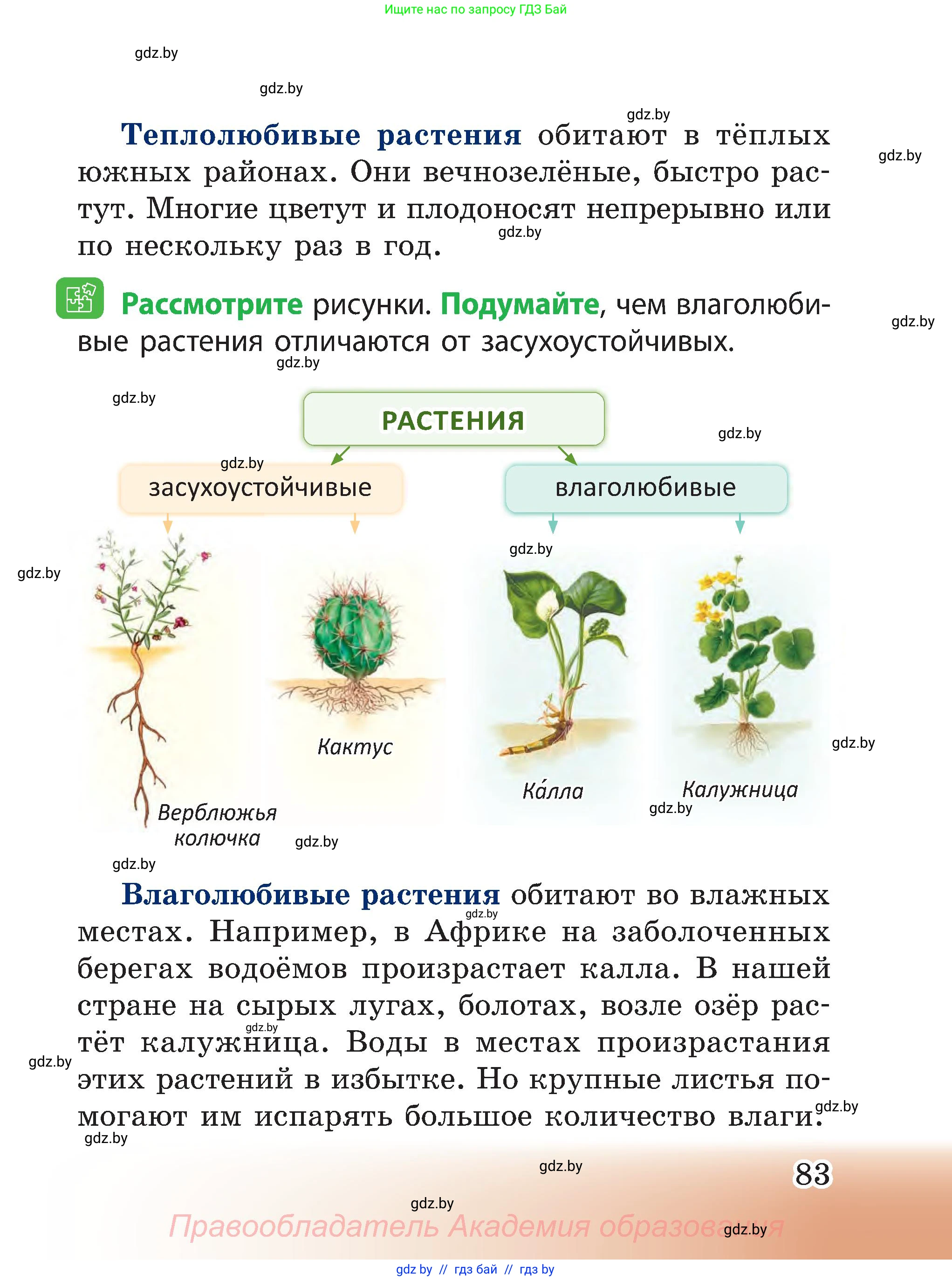 Человек и мир, 3 класс Учебник, авторы: Трафимова Галина Владимировна, Трафимов Сергей Анатольевич, издательство Академия образования, Минск, 2025, голубого цвета, страница 83