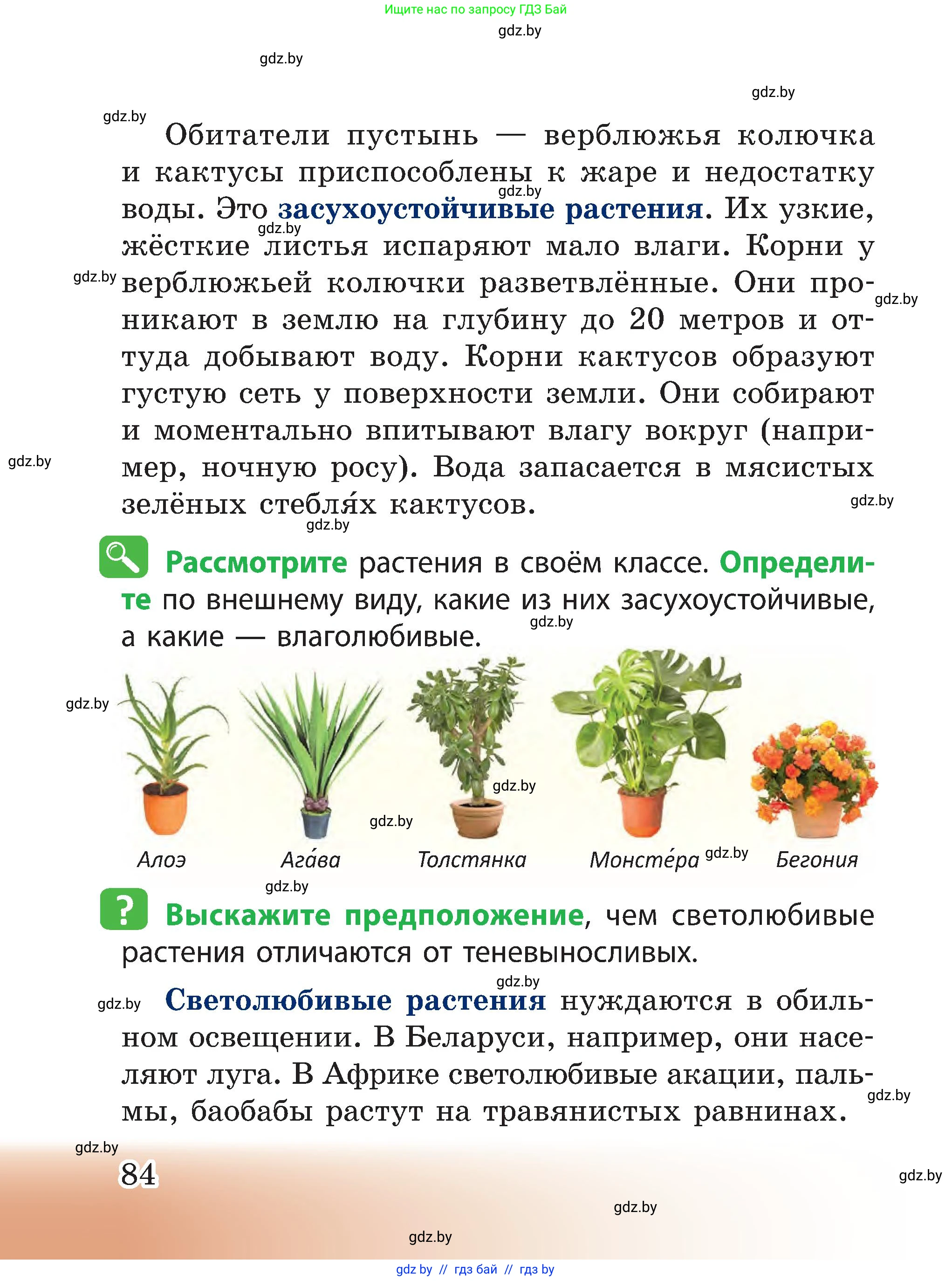 Человек и мир, 3 класс Учебник, авторы: Трафимова Галина Владимировна, Трафимов Сергей Анатольевич, издательство Академия образования, Минск, 2025, голубого цвета, страница 84