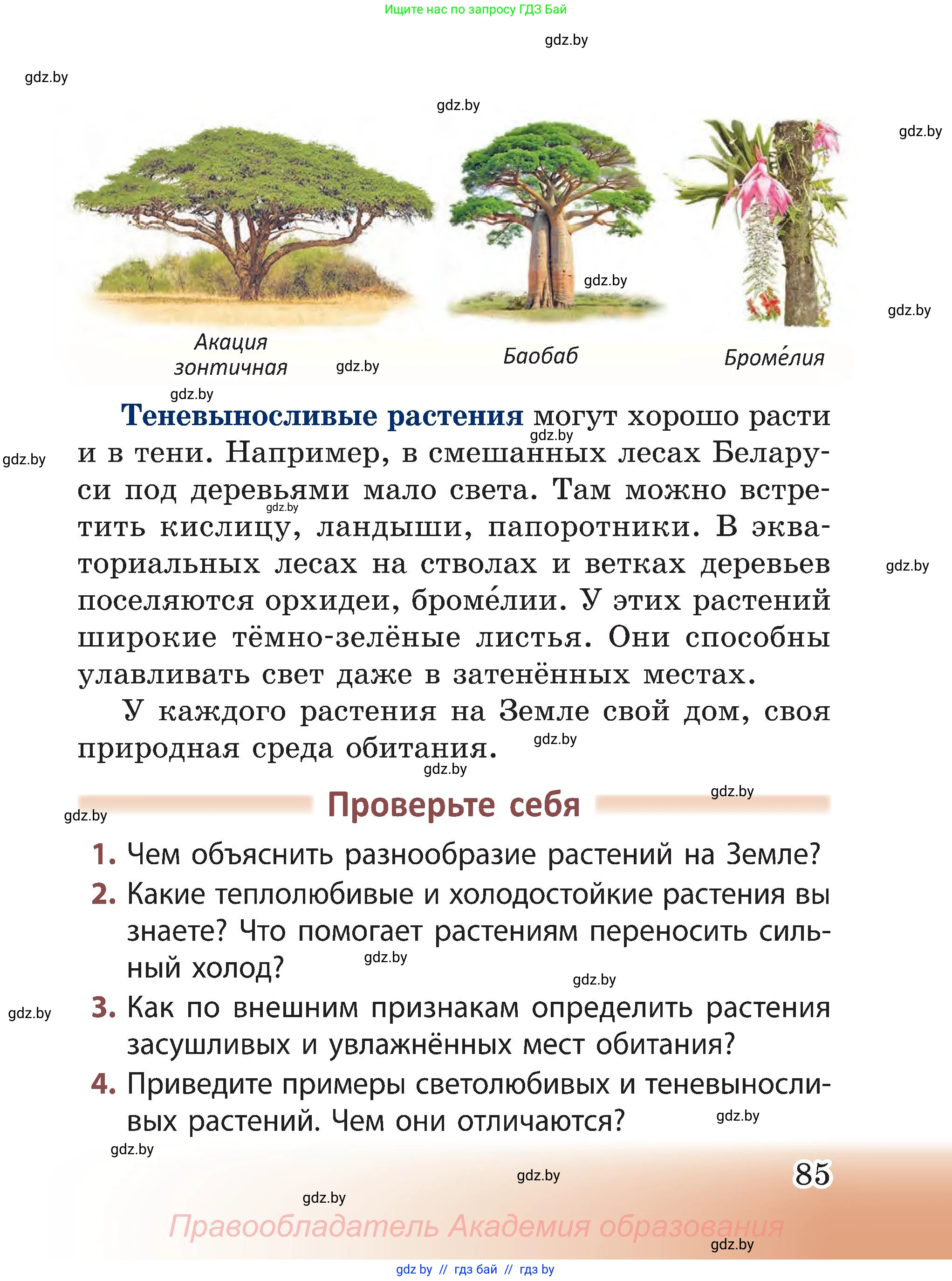 Человек и мир, 3 класс Учебник, авторы: Трафимова Галина Владимировна, Трафимов Сергей Анатольевич, издательство Академия образования, Минск, 2025, голубого цвета, страница 85