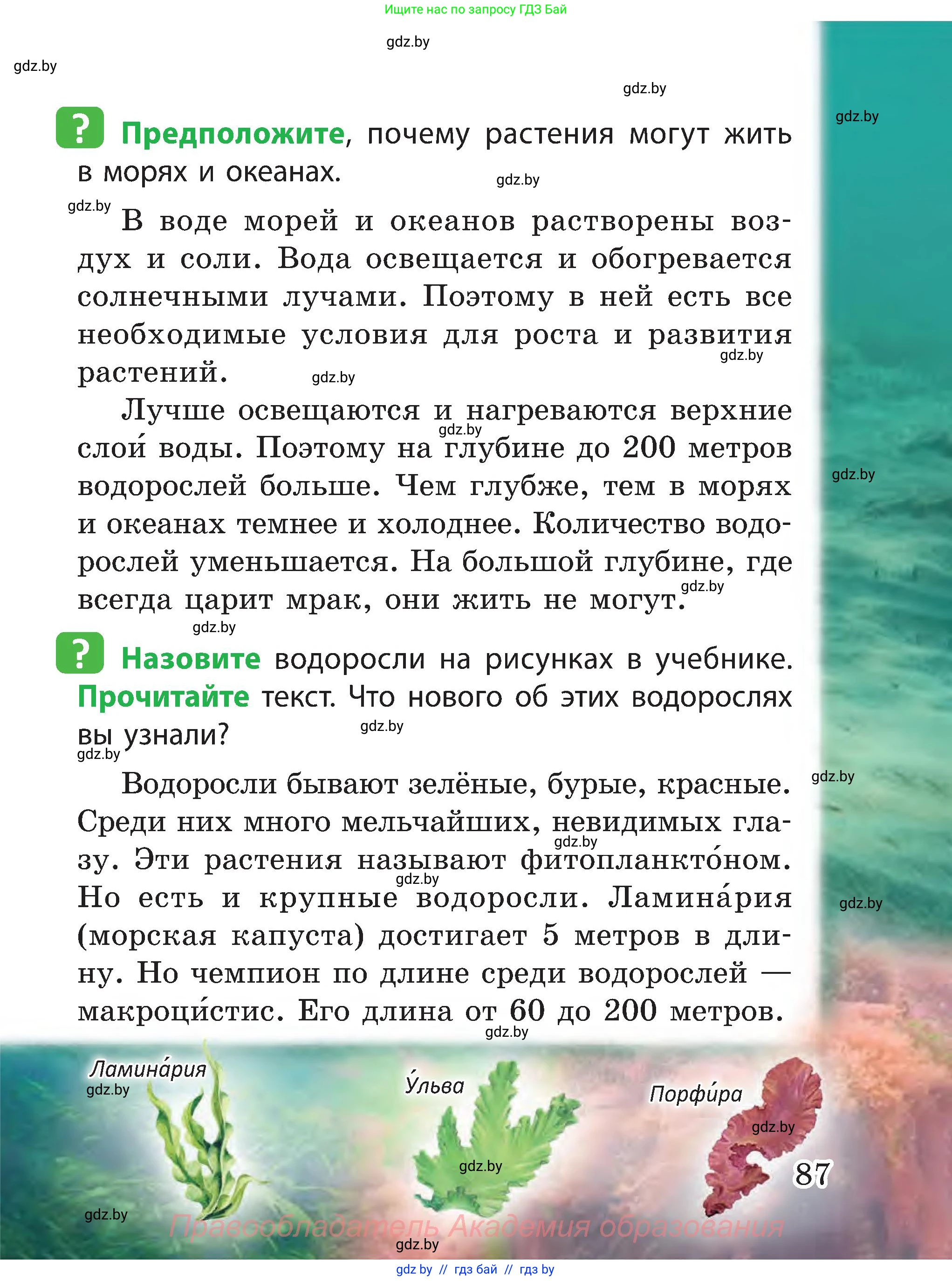 Человек и мир, 3 класс Учебник, авторы: Трафимова Галина Владимировна, Трафимов Сергей Анатольевич, издательство Академия образования, Минск, 2025, голубого цвета, страница 87