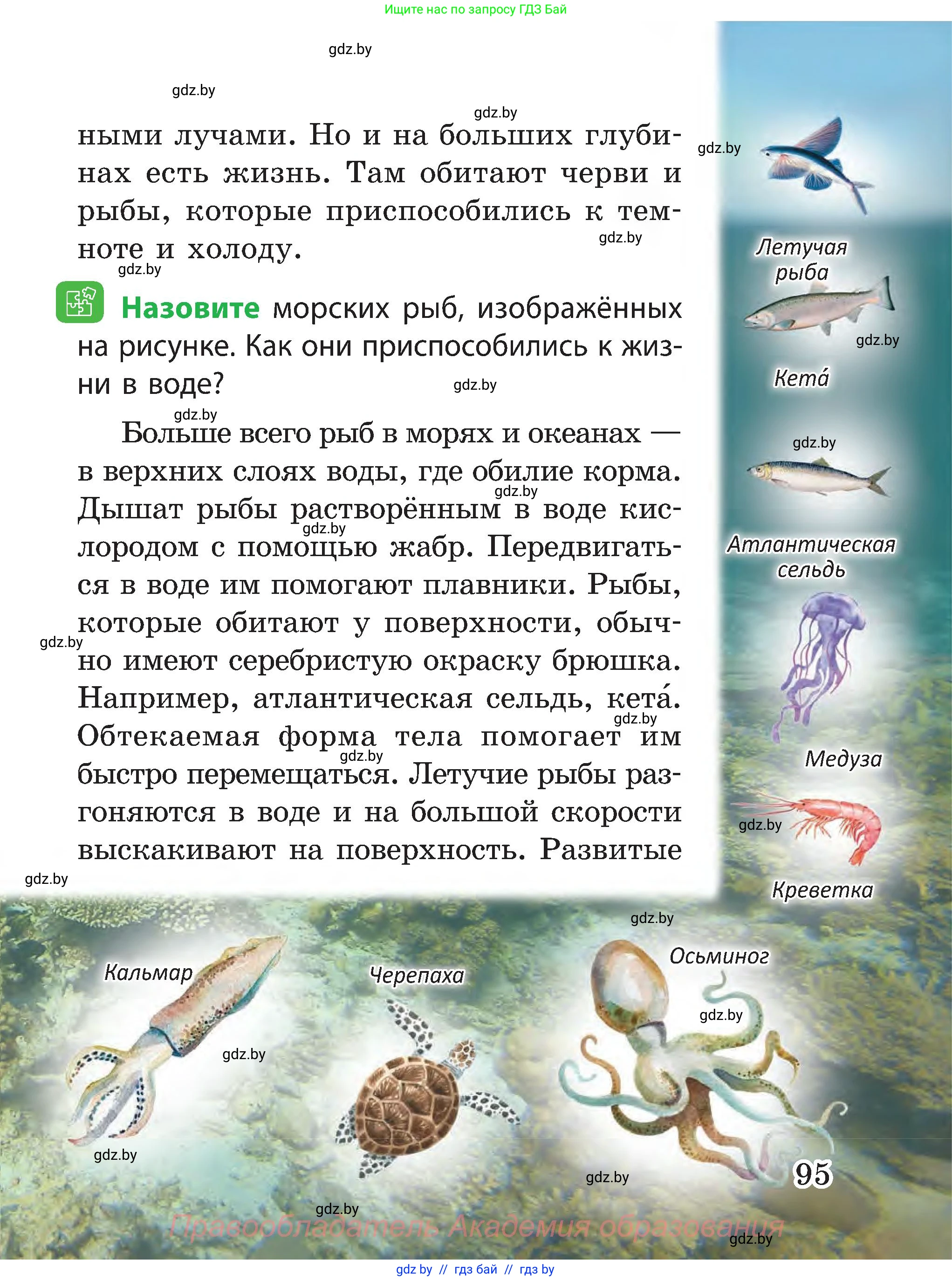 Человек и мир, 3 класс Учебник, авторы: Трафимова Галина Владимировна, Трафимов Сергей Анатольевич, издательство Академия образования, Минск, 2025, голубого цвета, страница 95