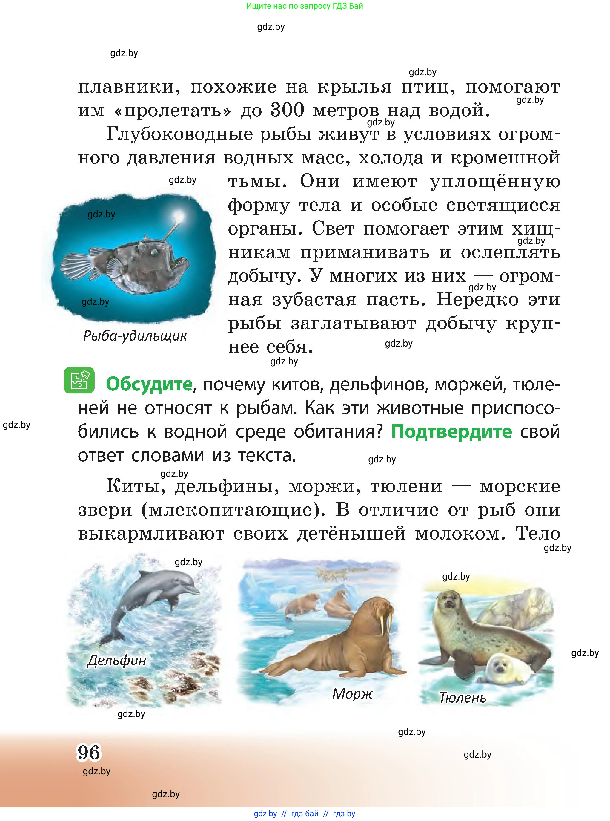 Человек и мир, 3 класс Учебник, авторы: Трафимова Галина Владимировна, Трафимов Сергей Анатольевич, издательство Академия образования, Минск, 2025, голубого цвета, страница 96