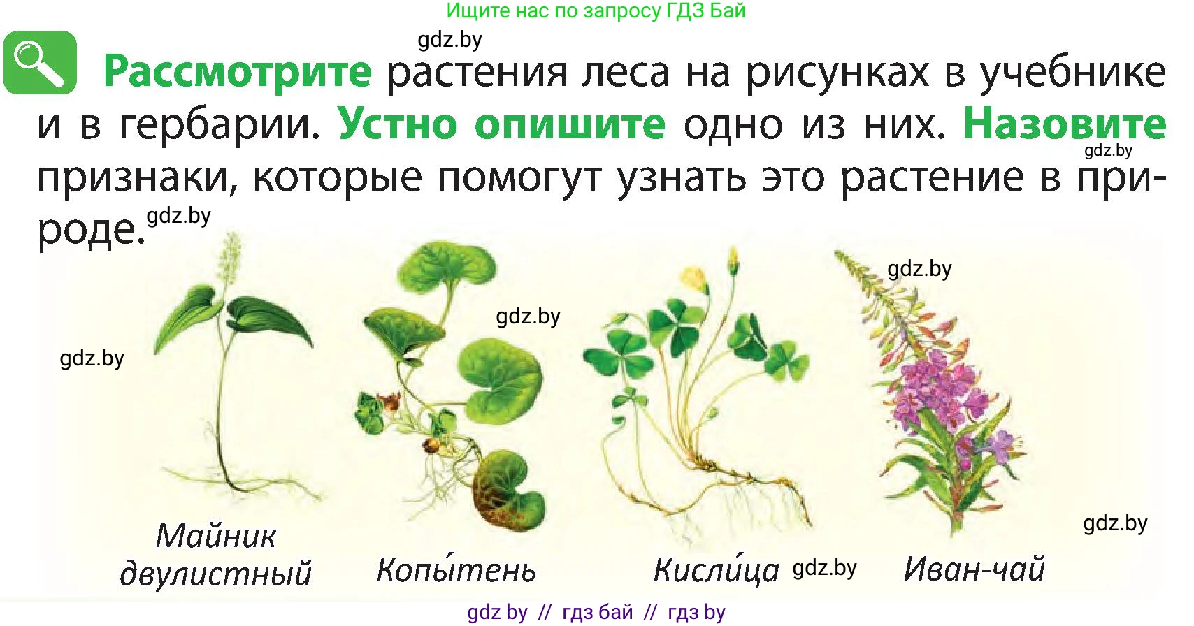 Человек и мир, 3 класс Учебник, авторы: Трафимова Галина Владимировна, Трафимов Сергей Анатольевич, издательство Академия образования, Минск, 2025, голубого цвета, страница 40, Условие
