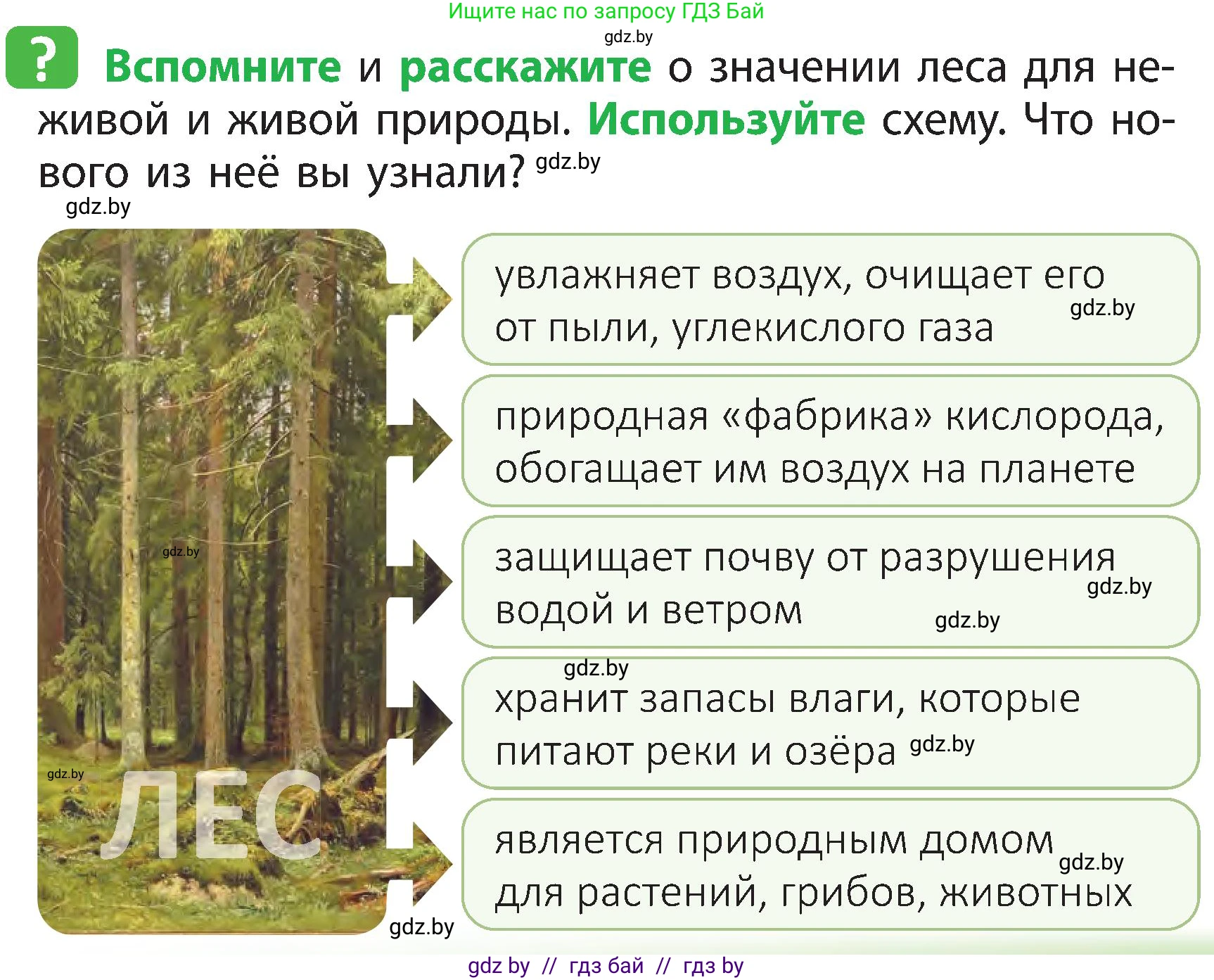 Человек и мир, 3 класс Учебник, авторы: Трафимова Галина Владимировна, Трафимов Сергей Анатольевич, издательство Академия образования, Минск, 2025, голубого цвета, страница 43, Условие
