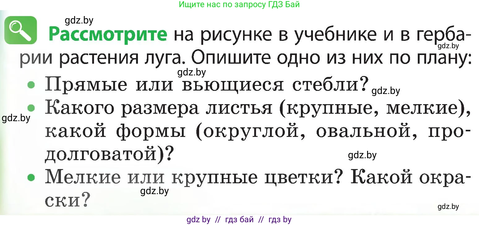 Человек и мир, 3 класс Учебник, авторы: Трафимова Галина Владимировна, Трафимов Сергей Анатольевич, издательство Академия образования, Минск, 2025, голубого цвета, страница 64, Условие