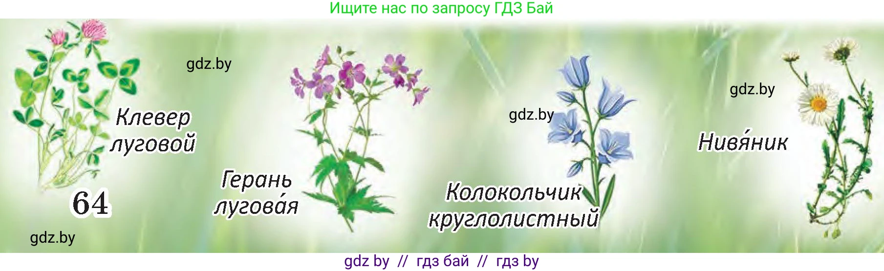 Человек и мир, 3 класс Учебник, авторы: Трафимова Галина Владимировна, Трафимов Сергей Анатольевич, издательство Академия образования, Минск, 2025, голубого цвета, страница 64, Условие (продолжение 3)