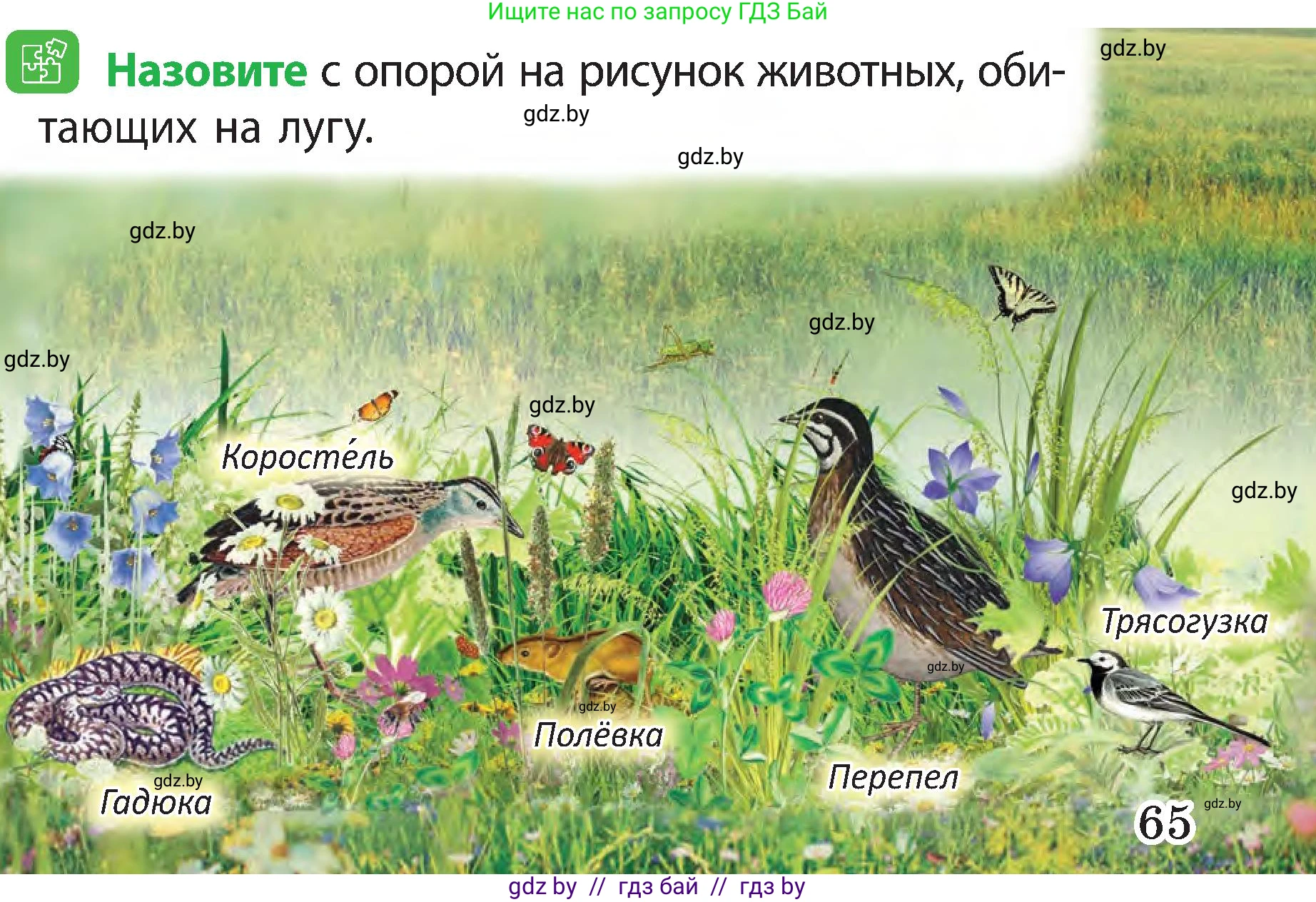 Человек и мир, 3 класс Учебник, авторы: Трафимова Галина Владимировна, Трафимов Сергей Анатольевич, издательство Академия образования, Минск, 2025, голубого цвета, страница 65, Условие